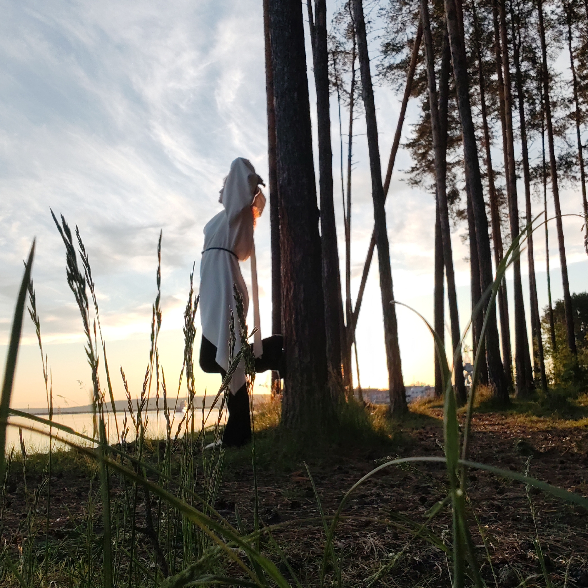 An outdoor scene captured during either sunrise or sunset, set in a pine forest along a body of water in Chaikovsky, Russia. The image is composed from a low angle, looking upwards towards the horizon.
The primary subject is a person, seen from behind and slightly to the side, positioned on the left-center of the frame. They are wearing a light-colored, possibly white, draped garment or top that appears to be tied at the waist with a dark cord, over dark trousers or leggings. Their head is covered by the fabric, and they are looking towards the golden light on the horizon, partially silhouetted against it. Their posture suggests a contemplative or posing stance, leaning slightly.
The setting is characterized by a dense line of tall, slender pine trees with dark trunks, which extend vertically across the right side of the frame. In the foreground, numerous long blades of grass and wild foliage create a textured layer, some appearing sharply in focus while others are softly blurred. Beyond the trees and the individual, a calm body of water, likely a lake or river, stretches across the midground, reflecting the soft, warm light of the sky.
The time of day is clearly indicated as either sunset or sunrise by the vibrant golden and orange hues on the horizon, transitioning into a lighter blue with wispy, cirrus clouds higher in the sky. The warm light backlights the scene, creating a sense of peace and natural beauty. There is no visible text in the image.