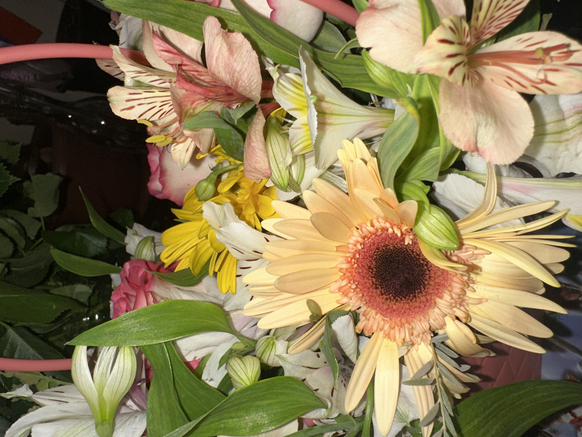 A bouquet of flowers is displayed, featuring a large, peach-colored gerbera daisy as the focal point. The gerbera daisy has a dark brown center surrounded by numerous thin, peach-colored petals that extend outwards. Around the gerbera, there are other flowers, including white alstroemeria with pink stripes, yellow daisies, and pink roses. Green foliage and stems are interspersed throughout the arrangement. The bouquet is partially contained within a pink basket or container, visible at the top left and top right of the image. The background is dark and out of focus, with some hints of reflective lights suggesting an indoor setting, possibly a room or a shop.