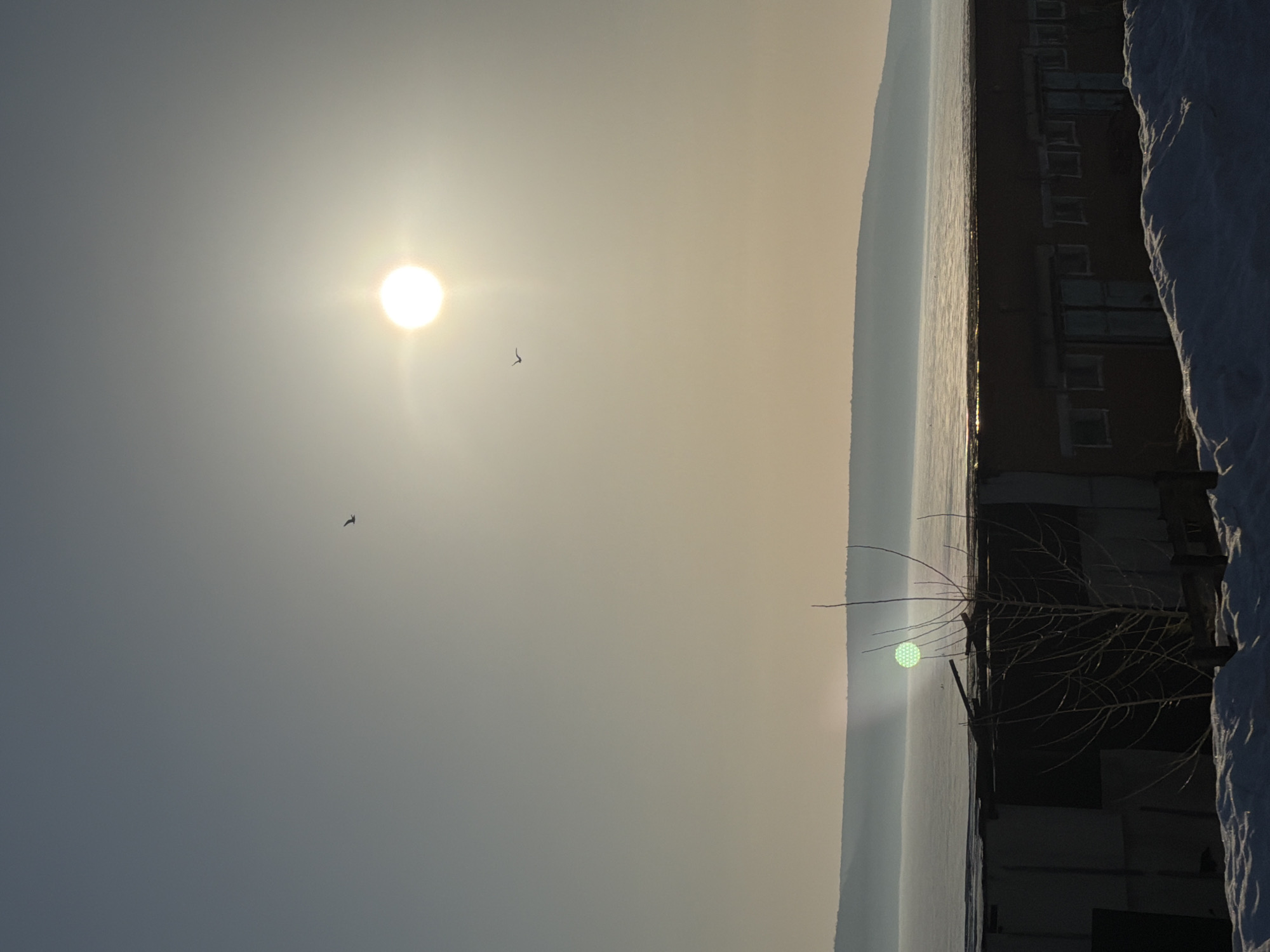 The image depicts a scene with the sun prominently positioned in the sky. Two birds are visible flying in the sky. At the bottom, there is a building or structure with snow along the edge. Bare tree branches are visible. The light reflections on water suggests the location is near a body of water. The city name Chaikovsky, Russia, is mentioned, implying the scene is within that geographic location.