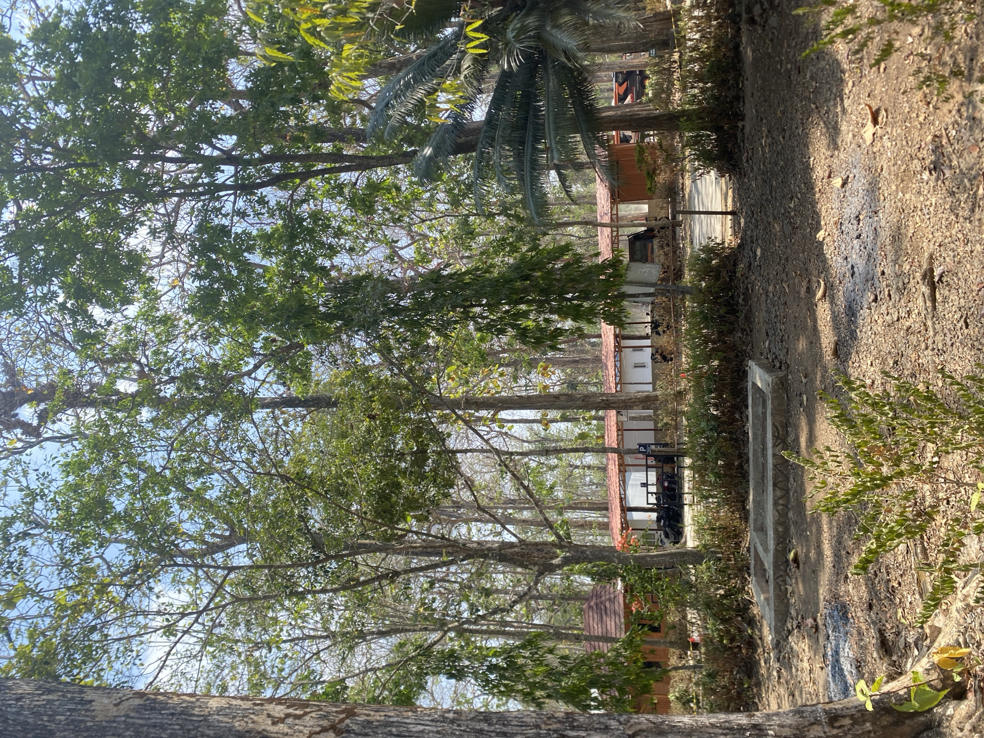 The image shows a wooded area with several buildings and vehicles. The foreground is covered in dry leaves and dirt. In the midground, there are several structures with red tile roofs and white walls, appearing to be cabins or covered parking areas. Several motorcycles are parked in front of one of the structures. There are also a few vehicles, including a dark-colored truck or van. Tall trees with green foliage surround the area, and the sky is visible through the branches. A concrete structure, possibly a foundation or planter box, is visible in the lower left foreground. The scene appears to be in a rural or natural setting.