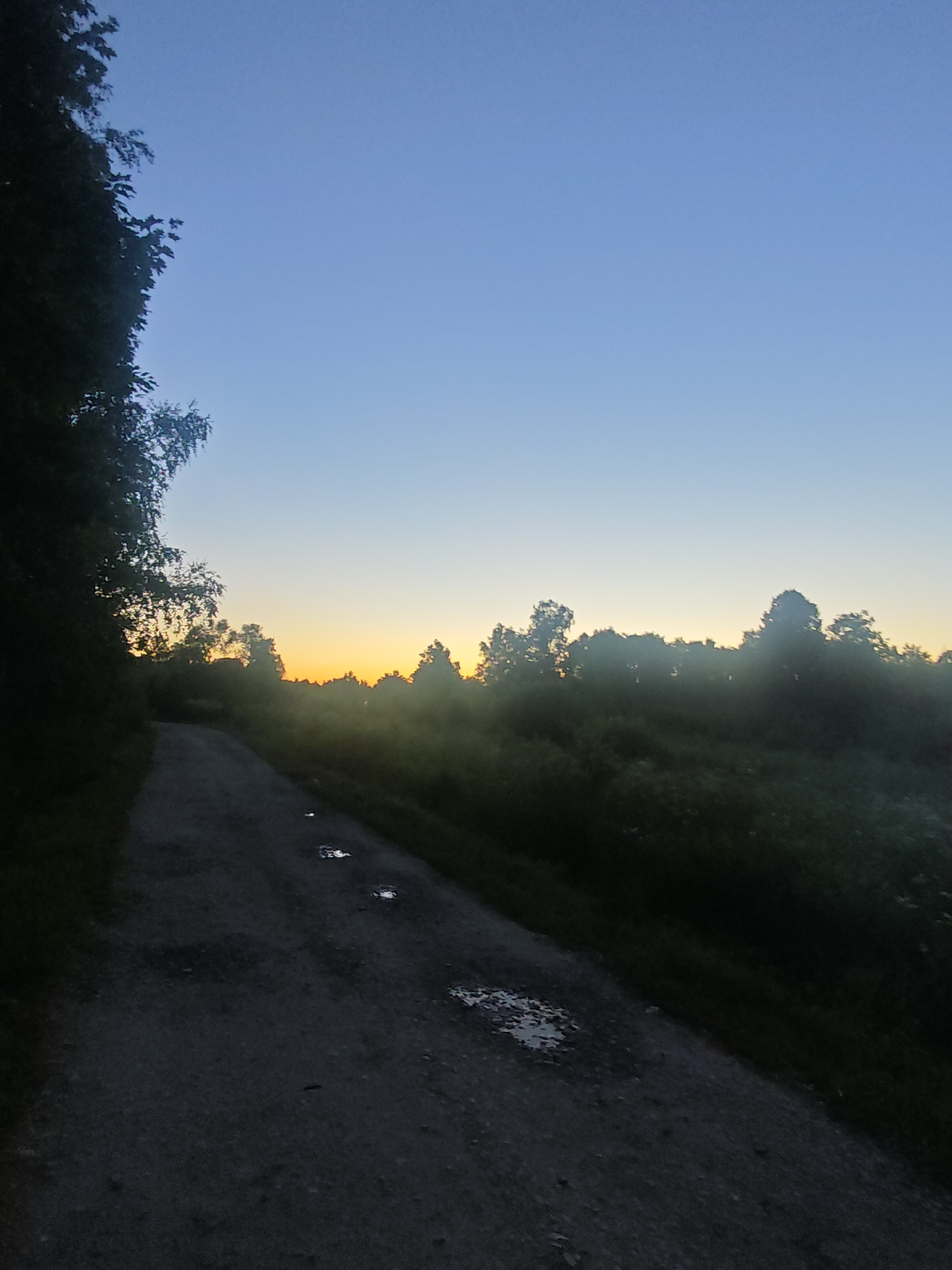 The image depicts a dirt road running through a natural landscape, possibly on the outskirts of Хлевино, Russia. The sky is clear and blue, transitioning to a soft orange glow near the horizon, suggesting either sunrise or sunset. Tall trees and dense foliage line the right side of the road, partially obscured by mist or fog. The road itself appears to be unpaved and wet, with several puddles reflecting the dim light. The overall atmosphere is serene and quiet. No people or animals are visible in the scene.