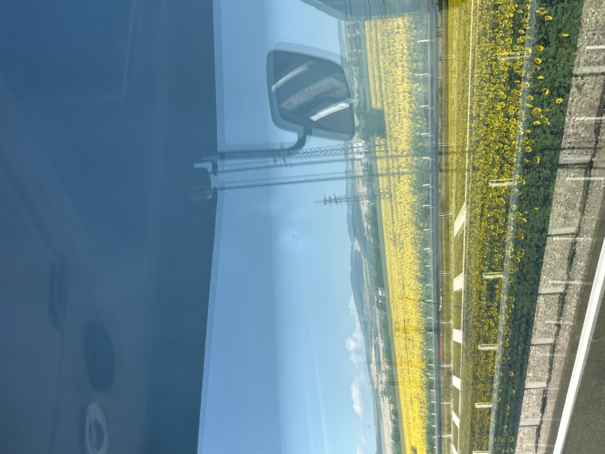 An eye-level shot captures a vibrant field of sunflowers viewed through a vehicle's windshield. The foreground shows a road or barrier with a stone wall on the right, and a blurred section of another vehicle's side mirror is visible on the left. Beyond the barrier, two distinct rows of sunflowers stretch across the landscape. The closest row consists of smaller, more sparsely planted sunflowers, while the row further back is a dense carpet of yellow blooms. In the mid-ground, a power line pylon stands tall, and rolling hills dotted with trees form the horizon under a clear blue sky. The scene is lit by bright sunlight, creating a sense of warmth and clarity. The location is identified as Prolesha, Bulgaria.