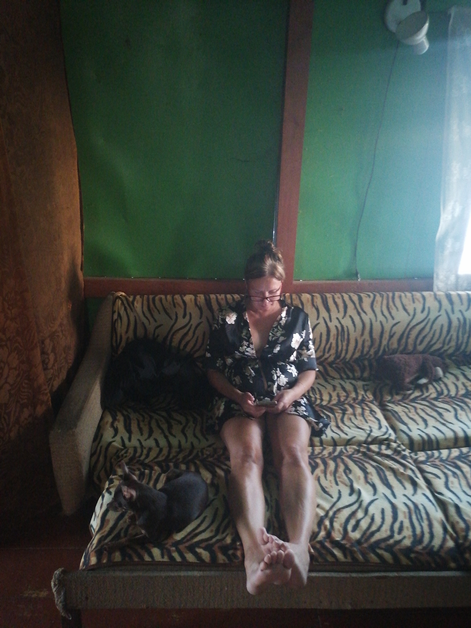 A woman with her hair pulled back and wearing glasses and a floral dress sits on a couch with a tiger-print cover, looking at her phone. Her legs are crossed, and her feet are visible. A dark-colored cat lies on the couch to her left. The couch is in a room with green walls and a brown curtain on the left side. A light fixture is visible on the wall in the upper right corner.