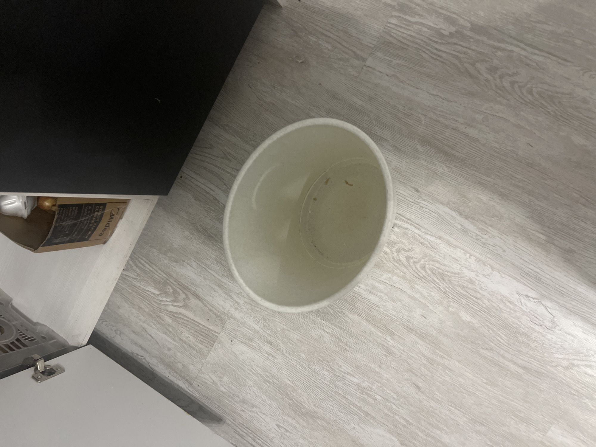 A white plastic trash can sits on a light wood-grain floor next to a black cabinet. The trash can is empty but appears to have some debris at the bottom. To the left of the trash can, a white cabinet door is ajar, revealing a shelf with a cardboard box and what appears to be a small, light-colored object. The scene is indoors, likely in a residential or commercial setting. The location of Veteran-2, Russia, is not visible or inferable from the image.