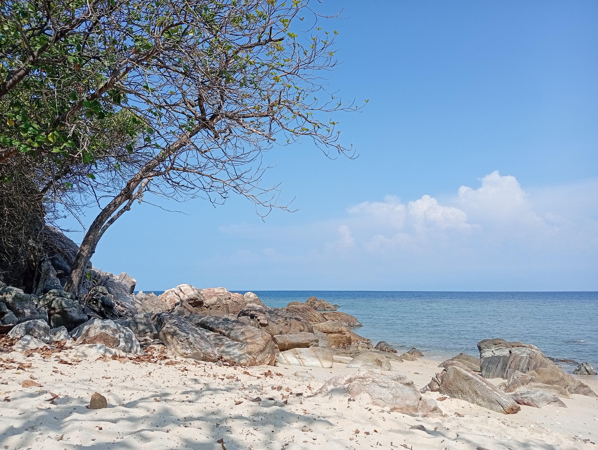 The image depicts a rocky beach scene in Baan Sri Thanu, Thailand. The foreground is dominated by a sandy beach with scattered rocks and shadows cast by a tree in the upper left. A tree with green leaves on some branches extends from the left of the frame, providing shade over a collection of large rocks that transitions into the beach. The middle ground features the ocean, a calm expanse of blue water meeting the horizon. A few clouds are present in the clear blue sky. No people are visible in the scene.