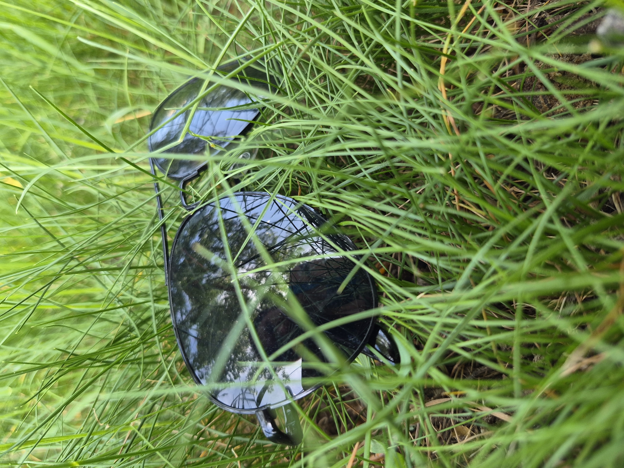 The image shows a pair of black sunglasses lying in tall green grass. The glasses are positioned towards the center of the frame, partially obscured by the surrounding blades of grass. Reflections are visible on the lenses. The location is an outdoor setting with abundant green vegetation. There are no people or interactions visible. The city is listed as Unknown, Unknown.