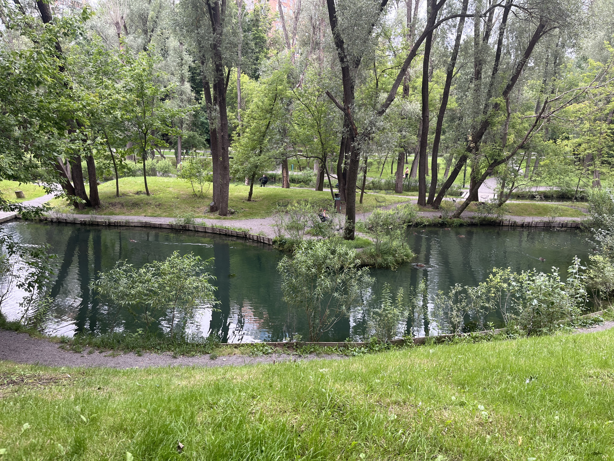 The image shows a tranquil park scene in Kharkiv, Ukraine. A body of dark green water, likely a pond or small lake, occupies the central and left portions of the frame. The water is surrounded by lush green grass and various trees, some with slender trunks and light-colored foliage, others with darker, fuller canopies. A gravel path encircles the water, with wooden edging in some areas. In the background, more trees create a dense forest-like setting, with a hint of a building visible through the foliage on the far right. A few small figures can be seen scattered throughout the park. On the left side of the pond, a person is seated on a bench, and further back, another person is walking. On the right side of the pond, two figures are seated on chairs, and a person is walking on a path. Two ducks are visible swimming in the water, adding to the peaceful atmosphere of the park. The sky is overcast, contributing to the soft, diffused light characteristic of a cloudy day. The overall impression is one of a serene, natural environment within an urban setting.