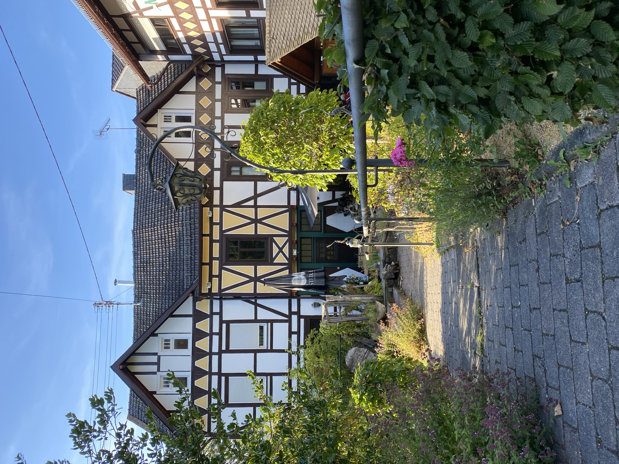 The image depicts a quaint, two-story building with traditional half-timbered architecture, characteristic of Seelbach bei Hamm (Sieg), Germany. The building's facade is white with dark brown timber framing and decorative yellow triangular accents. Several windows with white shutters are visible on the upper floor, while the ground floor features windows and doors, one of which appears to be green. An outdoor seating area is suggested by a large black umbrella with a white logo that reads "STEINI".

A paved walkway, made of dark gray rectangular stones, leads towards the building, flanked by lush greenery and flowering plants. The vegetation is diverse, including bushes with purple flowers on the left and a vibrant green tree with sparse foliage on the right. A vintage-style lamppost stands near the tree, adding to the rustic charm. In the foreground, a metal railing runs horizontally across the lower part of the image, partially obscuring the walkway and plants. The sky above is a clear, bright blue with a few thin clouds. The overall scene conveys a peaceful and inviting atmosphere, likely a commercial establishment such as a restaurant or guesthouse in a rural German setting.