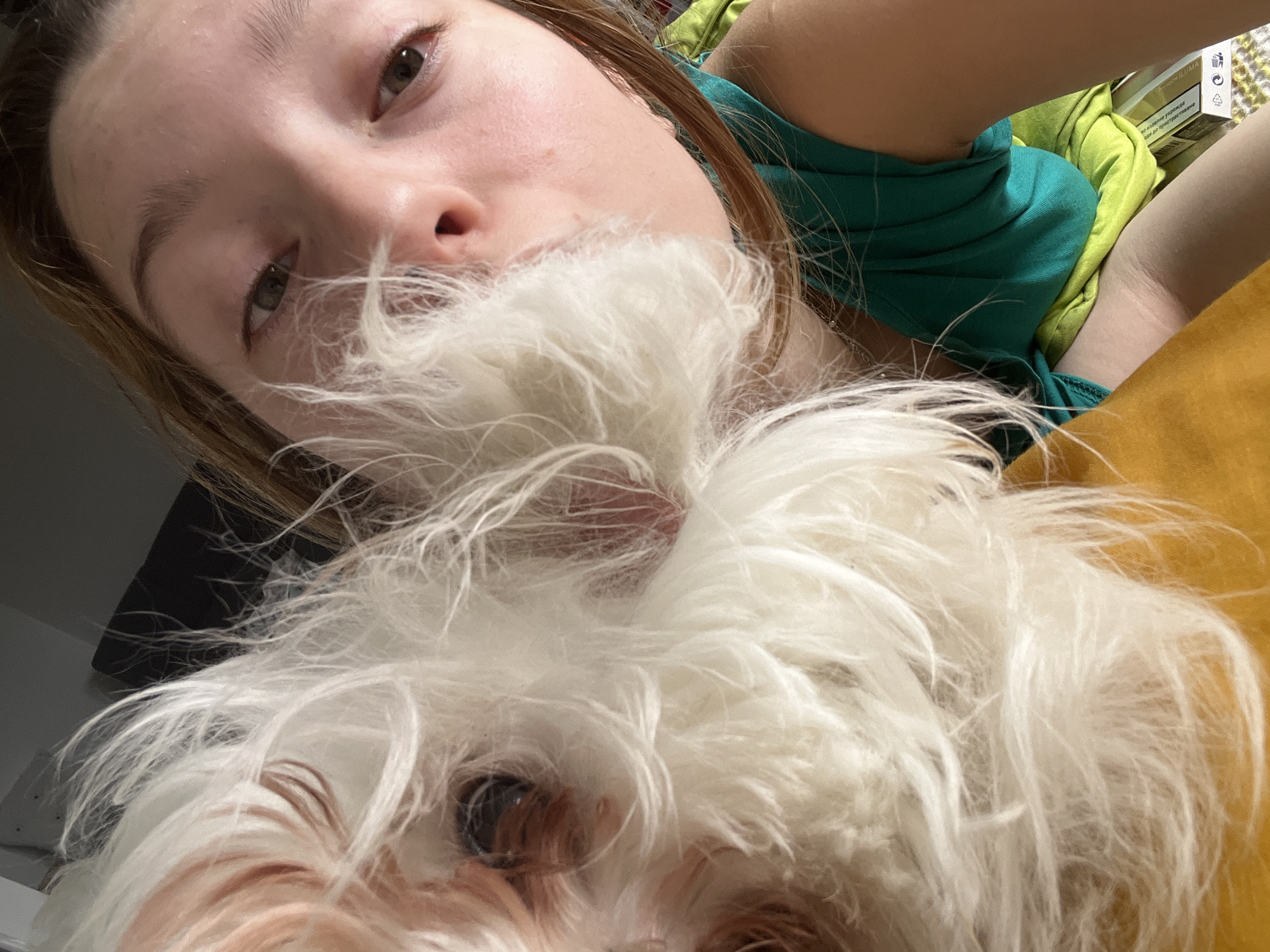 A close-up selfie shows a person with light skin and brown hair looking down at the camera. Their face is partially obscured by the fluffy white fur of a small dog, likely a Maltese. The dog's eyes are visible, gazing up. The person wears a green top. The background consists of a yellow pillow and a pack of cigarettes. The location cannot be determined from the image alone. The city of Varna, Bulgaria is not identifiable from this image.