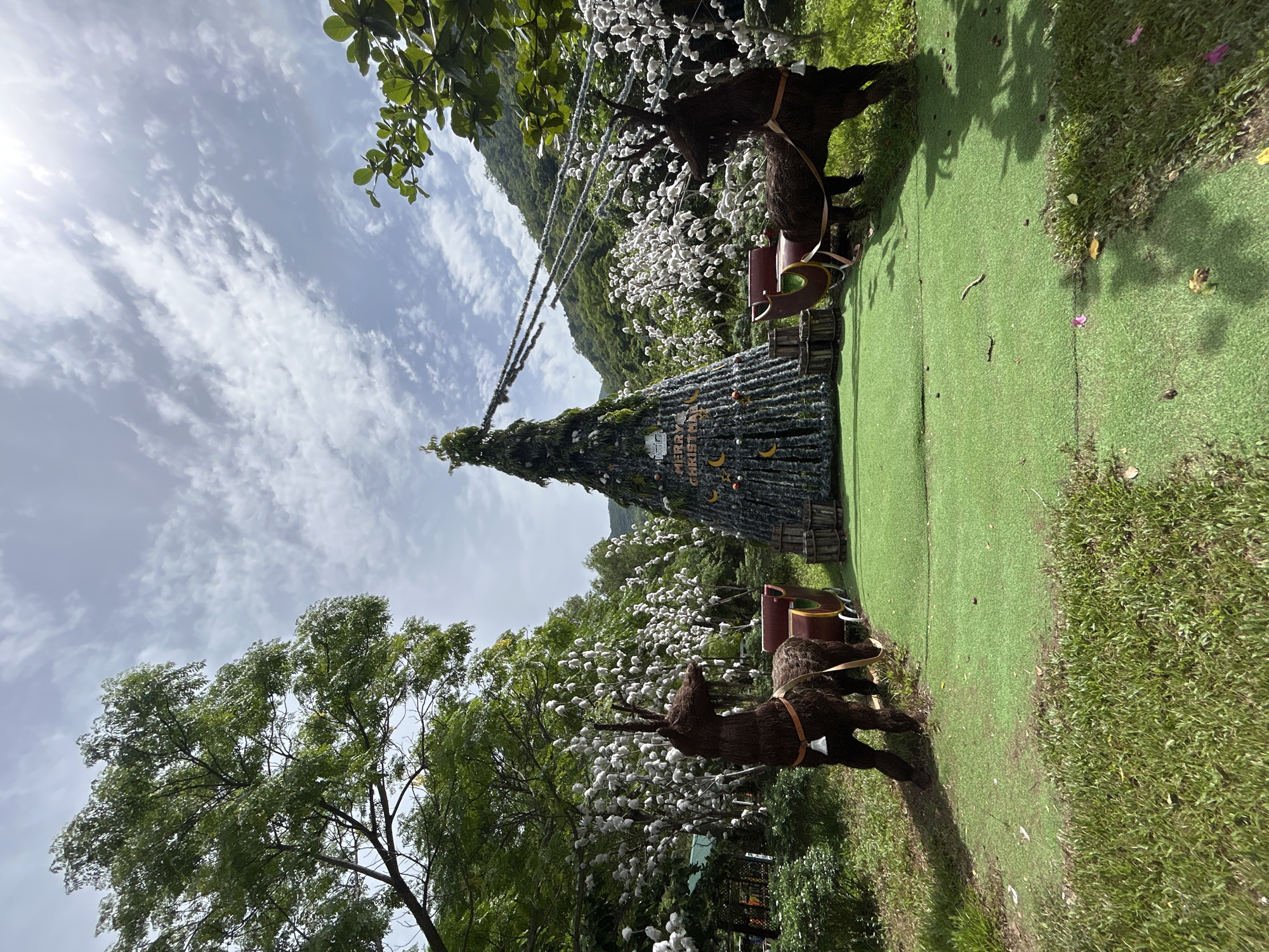In Hoa Thang, Vietnam, a festive Christmas display is set up outdoors. The centerpiece is a tall, cone-shaped Christmas tree adorned with lights and decorative elements like crescent moons and stars, which reads "MERRY CHRISTMAS". Flanking the tree are two large, brown, straw-like reindeer figures, each with a sleigh behind it. The reindeer on the left has a bell attached to its neck. The display is situated on a vibrant green artificial turf area, surrounded by lush green grass and trees. In the background, a lush, mountainous landscape is visible under a partly cloudy sky. The overall scene suggests a holiday-themed attraction or event.