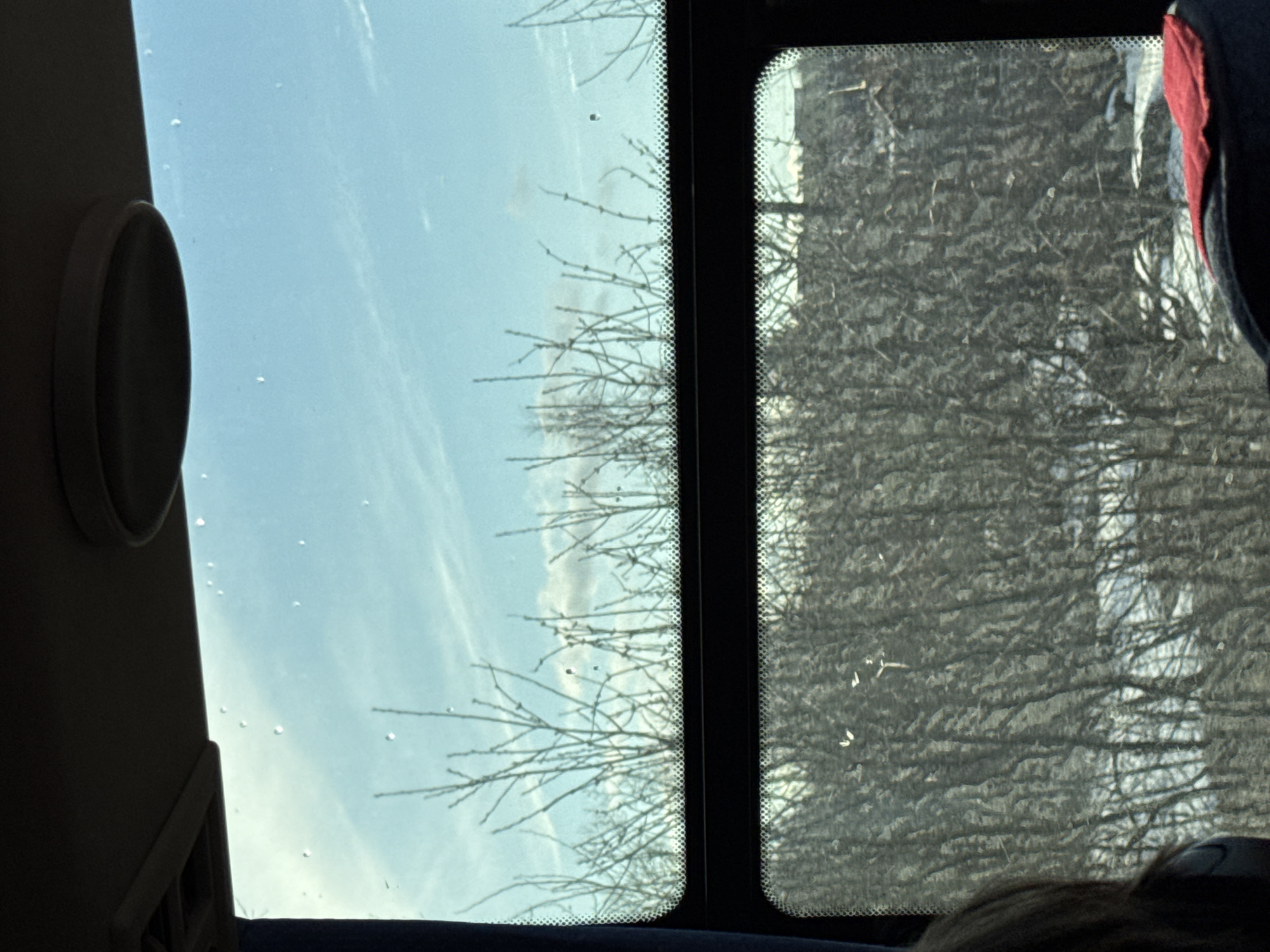 View from a bus window. Left window: clear blue sky with thin clouds, bare tree branches. Right window: dense, leafless trees/woods. Interior: part of a seat, headrest, and person's head. The location is not identifiable as Berezniki, Russia from the image alone.
