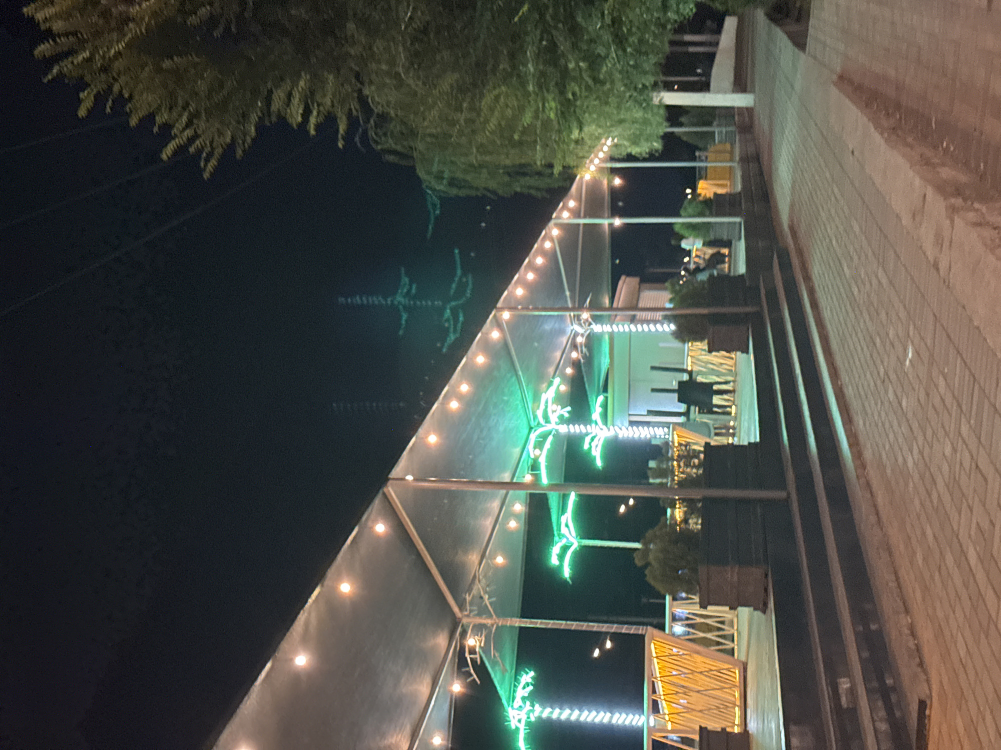 The image captures a nighttime scene in Osh City, Kyrgyzstan, focusing on an outdoor dining or seating area. A large, light-colored canopy extends over the area, supported by metal poles. Strings of warm, yellow lights are draped along the underside of the canopy, providing illumination.
In the background, several decorative palm trees made of bright green neon lights are visible, adding a festive ambiance. The area appears to be a raised platform, accessible by dark-colored steps. Potted plants are strategically placed on the platform, including planters with small green bushes.
To the right of the platform, a paved walkway made of brick-like material is visible. Further to the right, a large tree with dense green foliage stands, its branches reaching towards the dark night sky. In the far distance, faint outlines of buildings and possibly power lines can be discerned against the dark background. A few people are visible in the background, appearing to be patrons of the establishment, though their activities are not discernible in detail. The overall impression is one of a well-lit, inviting outdoor space designed for evening enjoyment.