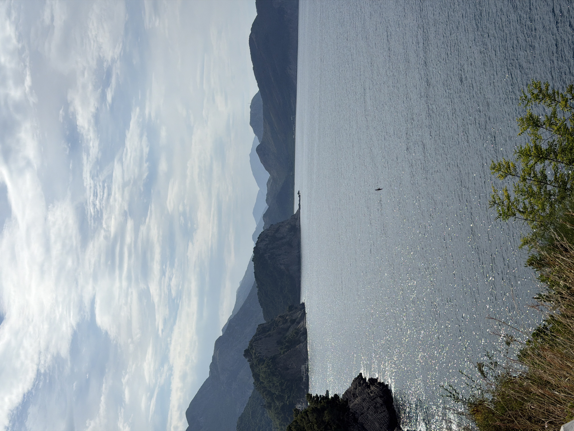 The image depicts a seascape with mountains in the background, likely taken in or near Golubovići, Montenegro. The water reflects sunlight, creating a shimmering effect. A dark shape, potentially a bird or a small boat, is visible on the water's surface. Vegetation, including shrubs and dry grass, is present on the right side of the frame, suggesting a coastal area. The sky contains streaks of clouds. The mountains in the background are hazy and layered, receding into the distance.