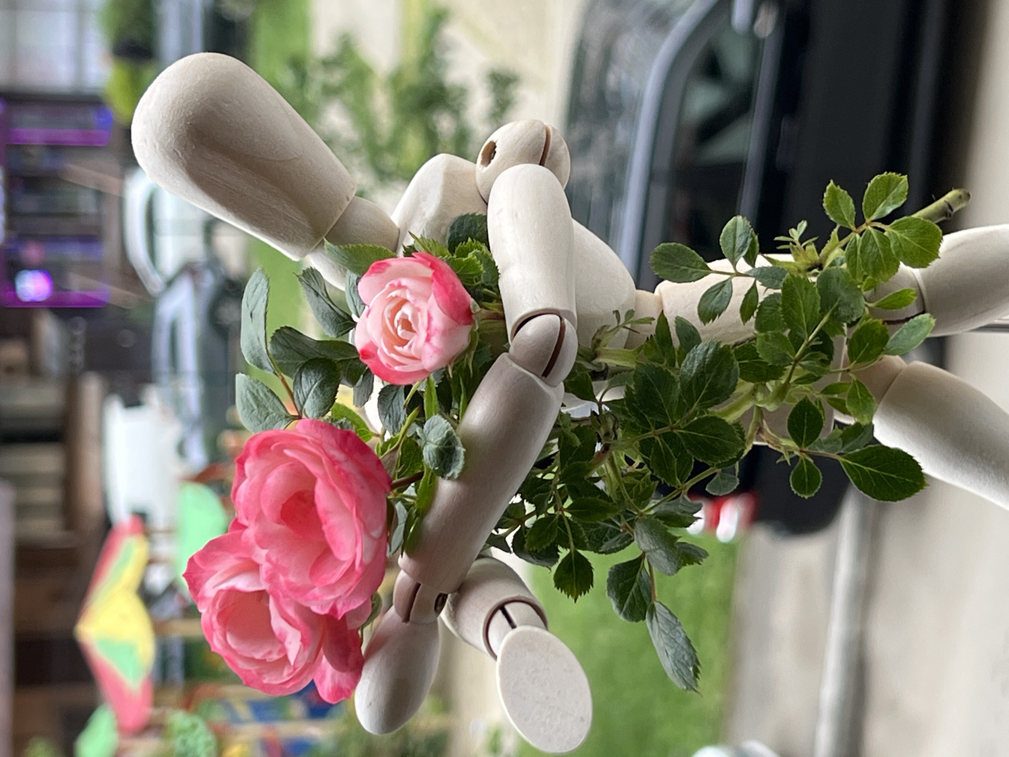 A wooden mannequin is entangled with pink roses and green foliage. The background reveals an out-of-focus urban setting, partially obscured by reflections and natural elements. The scene includes a black car and blurred features of urban furniture. The location is unspecified, and the details necessary to determine it as the city of Krasnodar, Russia, are not present.