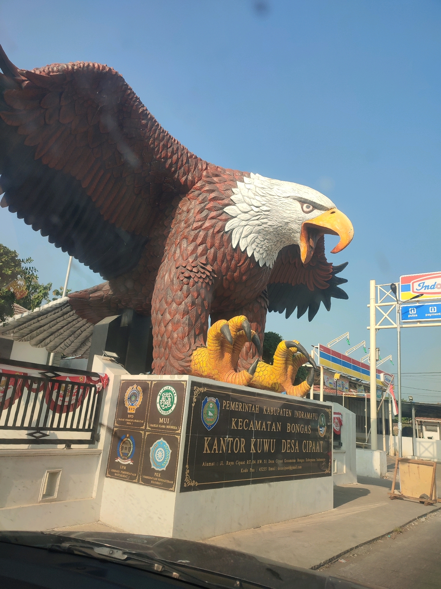 The image shows a large eagle statue in front of the KANTOR KUWU DESA CIPAAT (Village Head Office of Cipaat Village) in Bongas District, Indramayu Regency, Indonesia. The eagle statue, with its wings spread and talons extended, is positioned on a pedestal which also displays several emblems and text. The text on the pedestal reads "PEMERINTAH KABUPATEN INDRAMAYU", "KECAMATAN BONGAS", and "KANTOR KUWU DESA CIPAAT", along with an address and postal code. Several smaller emblems are visible on the pedestal, including those for BPD (Badan Permusyawaratan Desa), MUI (Majelis Ulama Indonesia), LPM (Lembaga Pemberdayaan Masyarakat), and PKK (Pembinaan Kesejahteraan Keluarga). In the background, there are some buildings, including what appears to be an Indomaret store, and trees under a clear blue sky. A portion of a car's dashboard is visible in the foreground, suggesting the photo was taken from inside a vehicle.