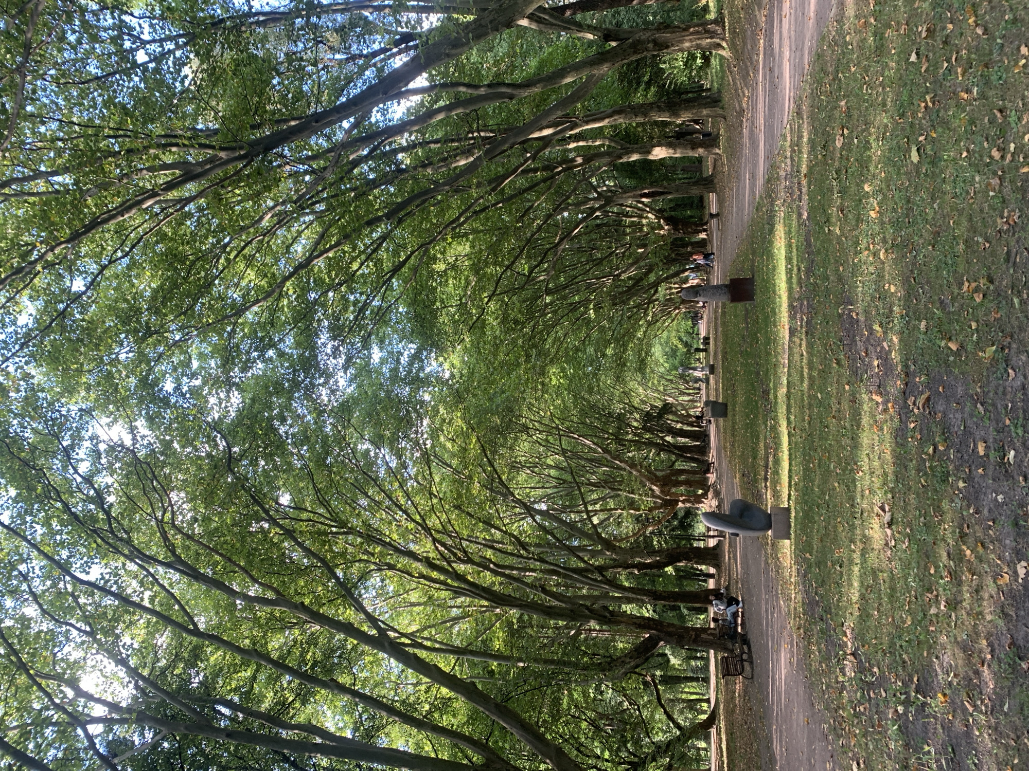 This is a wide-angle, eye-level shot of a park in Lviv, Ukraine, likely in Stryiskyi Park given the presence of sculptures and the tree-lined avenue. The scene depicts a long, wide, unpaved pathway bordered by mature trees with dense green foliage forming a canopy overhead. The path leads into the distance and appears to fork. On the left side of the pathway, grass with scattered fallen leaves and several abstract sculptures are visible. In the middle ground, a park bench is occupied by two people. Further down the path, more sculptures are present. The lighting suggests it is daytime with dappled sunlight filtering through the leaves. The overall atmosphere is serene and natural.