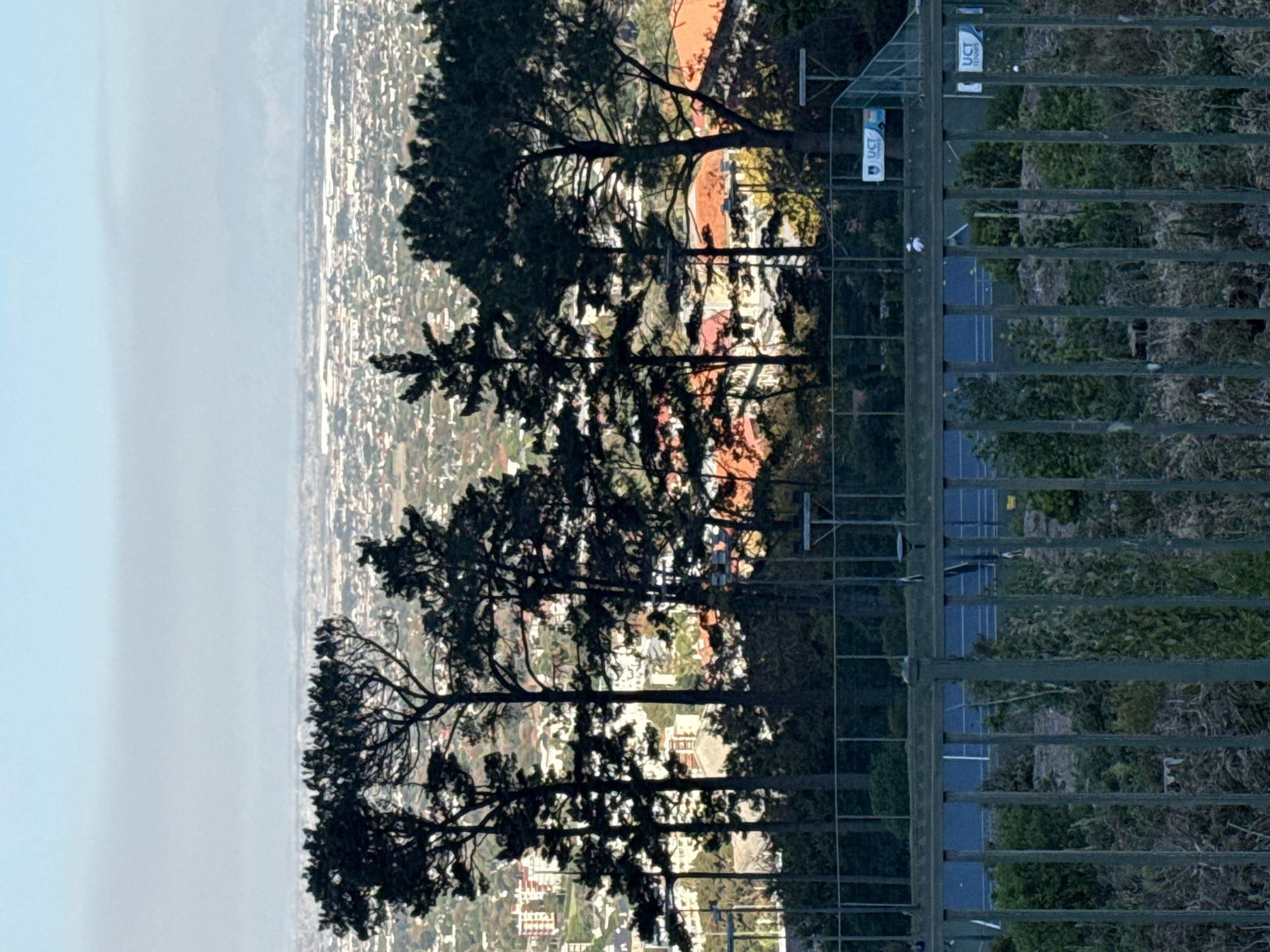 View from a fence overlooking the city of Cape Town, South Africa. The scene features a dense urban landscape stretching to the horizon under a pale sky. Trees cast silhouettes against the cityscape, partially obscuring the view. A fenced area is visible, potentially a tennis court based on the blue and white painted surface behind the fence and signs reading "UCT TENNIS." The photo appears to be taken from an elevated position.