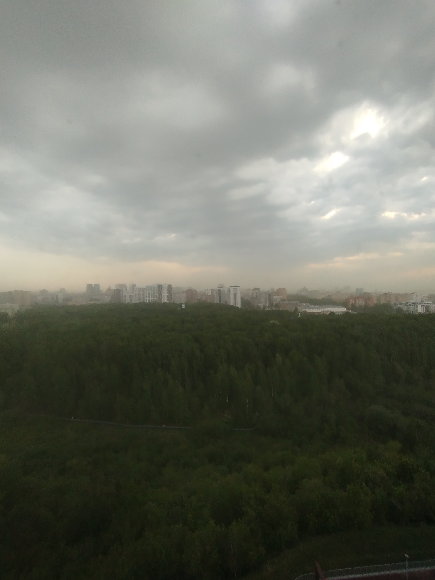 The image shows a cityscape in Perm, Russia, with a dense green forest in the foreground. The forest extends across the lower half of the image, obscuring the ground level. A road is barely visible cutting through the trees. Beyond the forest, there is a hazy view of buildings in the distance, including apartment blocks and some larger structures. The sky is overcast with heavy, gray clouds, with some lighter patches visible through the cloud cover. The overall atmosphere is dull and muted. The scene is shot from an elevated vantage point, possibly a high-rise building or hill.