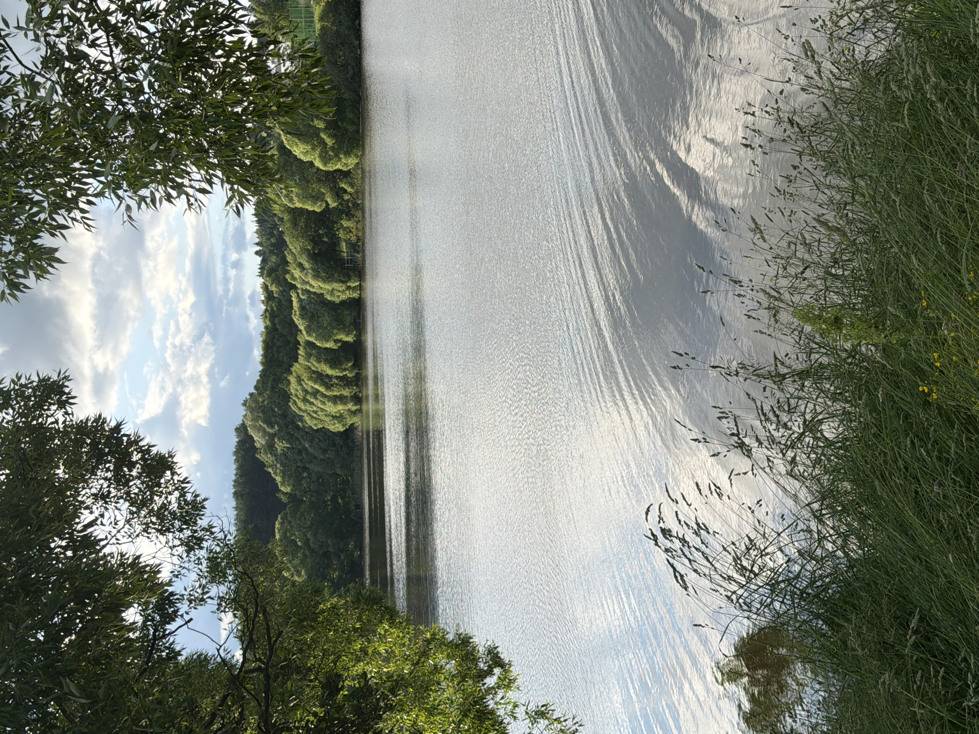 The image depicts a serene natural landscape scene. The foreground is dominated by lush green grass and reeds, with some tall grass stalks swaying gently. Beyond the grassy bank lies a wide expanse of calm water, likely a lake or river, reflecting the sky and the surrounding trees. The water's surface is disturbed by gentle ripples, creating patterns of light and shadow.
In the midground, a line of dense green trees forms a natural border along the far bank of the water. These trees appear to be deciduous, with full, rounded canopies. The sky above is partly cloudy, with patches of blue visible through scattered white clouds. Sunlight filters through the clouds, casting a soft, diffused light on the scene.
The overall impression is one of peacefulness and natural beauty. The location is identified as Satino-Russkoe, Russia, suggesting this is a rural or semi-rural area with access to bodies of water and abundant vegetation. There are no people, animals, or man-made structures prominently visible in the image, emphasizing the untouched natural setting. The time of day appears to be either late afternoon or early evening, given the quality of the light.