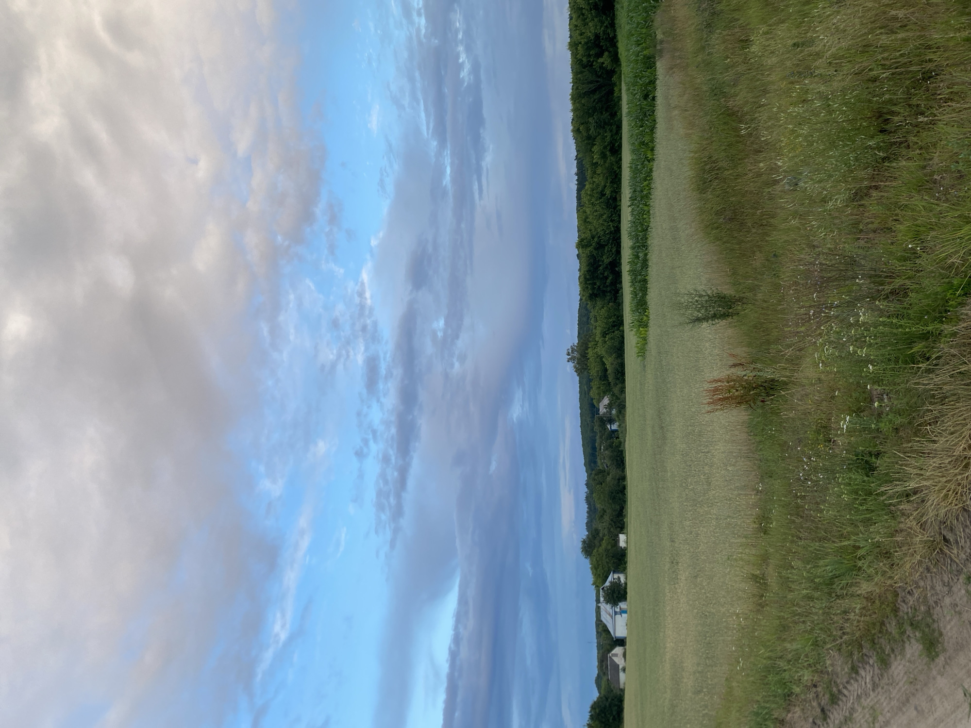 This is a landscape photograph taken in Yablunivka, Ukraine, depicting a rural scene with a field and a cloudy sky. In the foreground, a dirt road with tire tracks is visible on the left, bordered by tall, wild grass and some small wildflowers. Behind the foreground, a large agricultural field stretches out, appearing to be a grain crop such as wheat or barley, with a line of taller corn crops further back. Several houses, characterized by white walls and blue or light-colored roofs, are scattered amongst trees in the middle ground. A dense line of green trees forms the horizon, creating a backdrop for the distant landscape. The sky is filled with a mix of blue sky and scattered, textured clouds in shades of white and gray, suggesting overcast conditions. No people or animals are present in the image.
