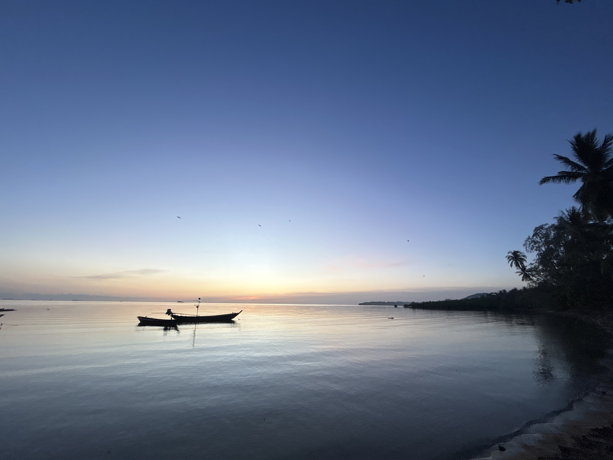 A serene, wide-angle shot captures a tranquil ocean scene at dusk in Ko Pha-ngan District, Thailand. The sky transitions from a deep blue at the top to a soft gradient of pale blue and pink near the horizon, where the sun has recently set, casting a warm glow. Silhouetted against the horizon are distant islands or landmasses.
In the foreground, two small, dark fishing boats are moored on the glassy surface of the water, their reflections subtly mirroring their forms. The water is calm, with gentle ripples creating a soft, textured surface. To the right, the dark silhouette of a palm tree and dense foliage lines the shore, with a sandy or muddy beach visible in the immediate foreground. A few small birds are visible as tiny specks in the sky. The overall atmosphere is one of peaceful solitude and natural beauty.