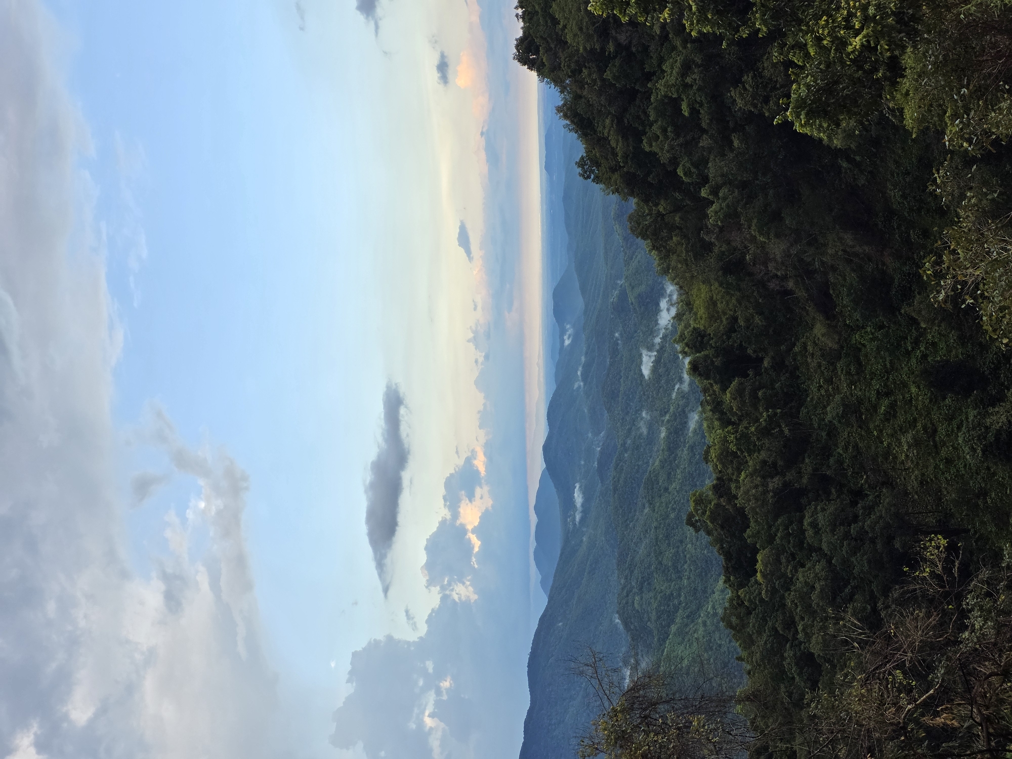 This is a landscape photograph taken from a high vantage point, overlooking a vast expanse of rolling, verdant mountains and valleys. The foreground is dominated by the dense, dark green foliage of trees, with some bare branches and lighter green leaves visible, suggesting a forest on a slope.
In the mid-ground, multiple layers of mountains recede into the distance. These mountains are covered in lush vegetation, and patches of white mist or low-lying clouds are scattered throughout the valleys, creating a sense of depth and atmospheric conditions. The distant horizon shows a softer, more diffused landscape, possibly indicating a plains area or a large body of water, under a hazy sky.
The sky occupies the upper portion of the image and features a mix of clouds. On the left, large, cumulus clouds are present, with shades of white, grey, and hints of blue. Towards the right and center, the sky transitions to a lighter blue, with softer, more scattered clouds, some tinged with pale orange and pink hues, suggesting either sunrise or sunset.
The photograph captures a natural, mountainous environment, likely a forest or a mountainous region with significant tree cover. The specific location in Nao Sẻ, Vietnam, implies a tropical or subtropical climate, consistent with the dense vegetation and misty conditions observed in the image. There are no people or man-made structures clearly visible, indicating an untouched natural scene. The lighting suggests it is either early morning or late afternoon.