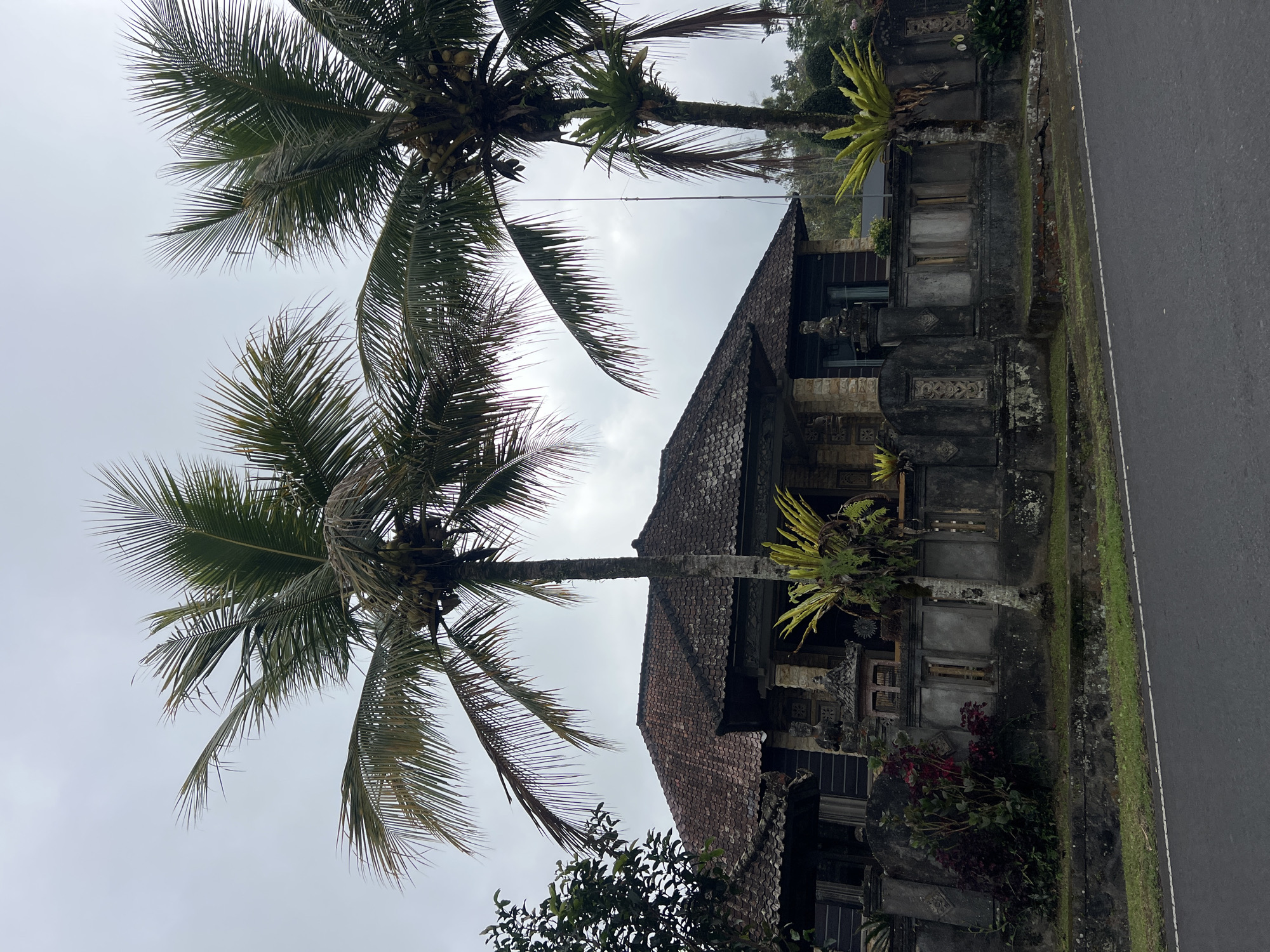 This is a horizontal, eye-level, medium shot of a traditional Balinese house on a cloudy day in Rendang, Indonesia. Two large palm trees dominate the foreground, their fronds reaching towards the overcast sky. The house itself is visible behind a stone wall adorned with intricate carvings. The roof is tiled, and the walls appear to be made of dark wood and stone. Several statues and plants are placed around the property. A paved road runs in front of the house, with a white line marking its edge. The scene is tranquil and suggests a rural setting.