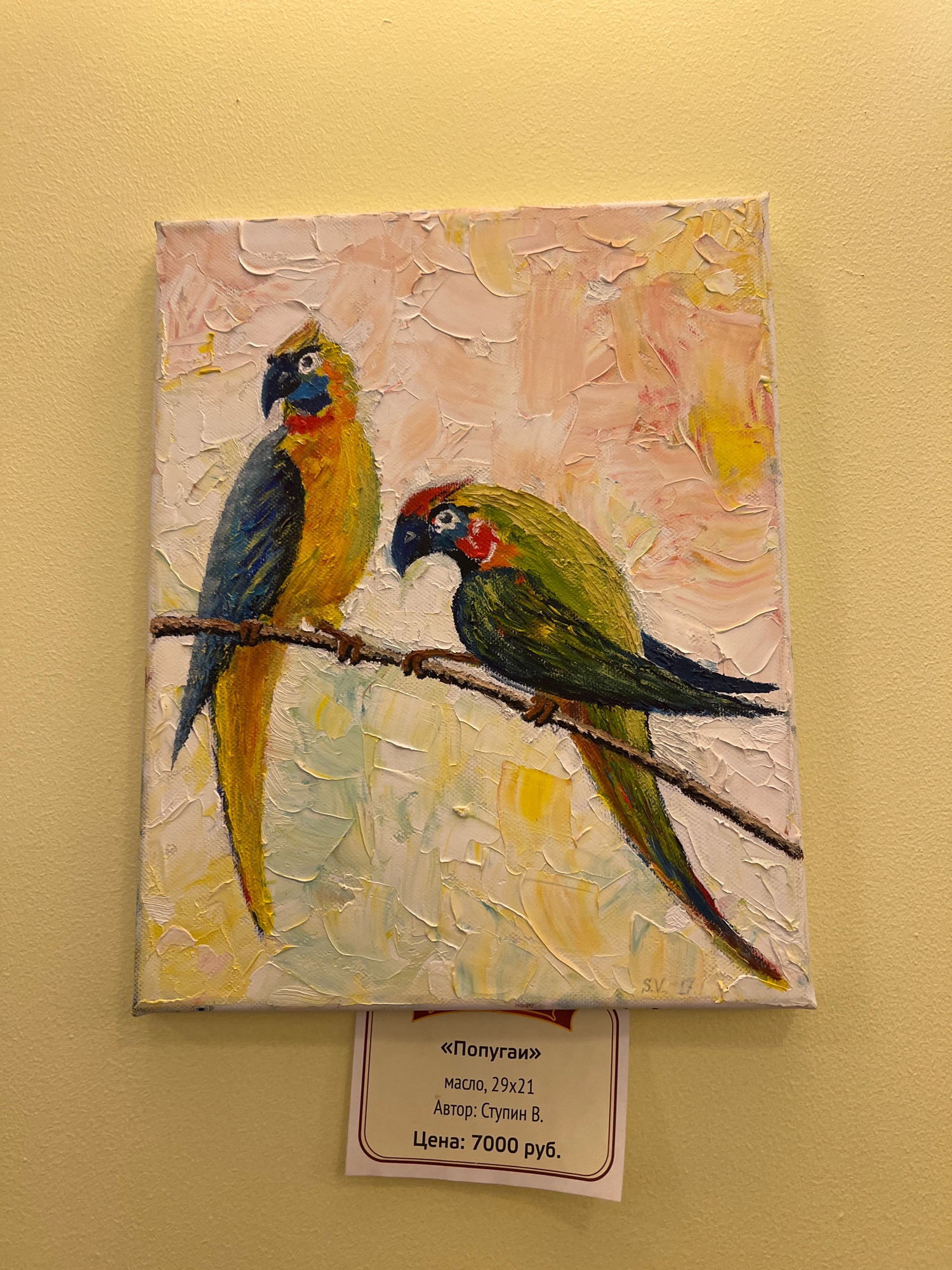 The image shows a painting of two parrots perched on a branch. The parrots are depicted in bright, vibrant colors, with one being predominantly yellow and blue, and the other green and red. The painting is an oil on canvas, with a textured impasto technique visible. Below the painting, a small white label with a decorative border provides details about the artwork. The label reads "«Попугаи»" (Parrots), "Масло, 29х21" (Oil, 29x21), "Автор: Ступин В." (Author: Stupin V.), and "Цена: 7000 руб." (Price: 7000 rubles). The painting is displayed on a textured yellow wall, suggesting it is in an art gallery or exhibition space. The signature "S.V. 17" is faintly visible in the bottom right corner of the painting. There is no information in the image to indicate the location in the city of Kaliningrad, Russia.