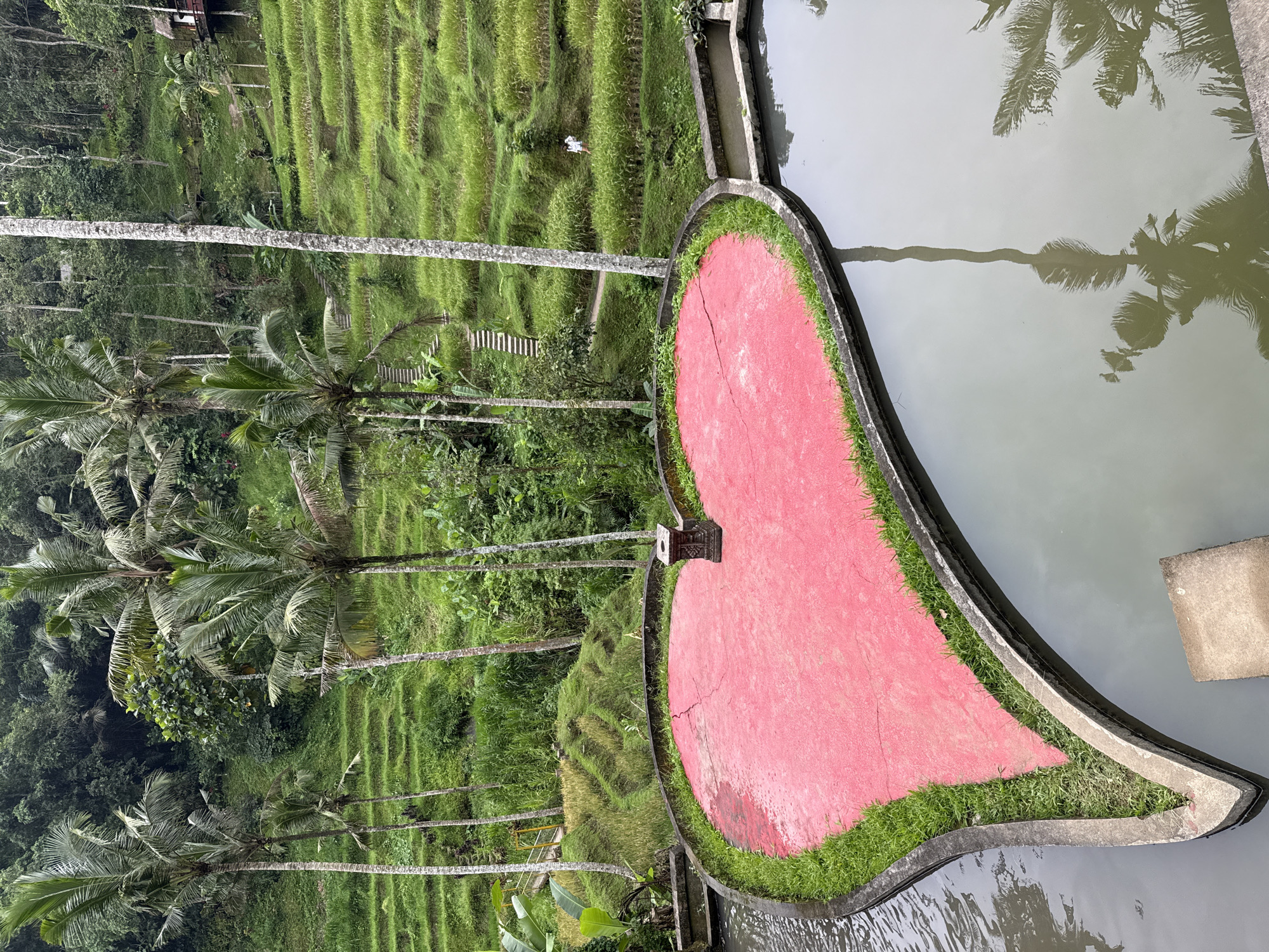 The image captures a vibrant, lush landscape, likely depicting a scenic view in Tegallalang, Indonesia, as suggested by the characteristic terraced rice paddies. In the foreground, a distinctive heart-shaped platform, painted bright red with a visible crack, juts into a calm body of water. This platform is outlined by a thin strip of green grass and a dark gray border. At the pointed tip of the heart, a small, dark stone ornament or marker is visible.
The placid water to the right and foreground of the heart reflects the fronds of several tall palm trees that dot the landscape. Beyond the heart-shaped platform and the water, the scene opens up to verdant green rice terraces, stretching across the mid-ground and into the distant background on the left side of the image. The terraces are meticulously formed, showcasing rows of young, bright green rice plants. Numerous tall palm trees are scattered throughout these terraced fields and the surrounding dense tropical vegetation. Small, winding pathways or steps can be seen integrated into the terraced landscape. In the distance within the rice fields, a tiny, indistinct white figure can be spotted, suggesting human activity in the paddies.
The lighting indicates daytime, with a soft, diffused light suggesting either an overcast sky or early/late daylight, as there are no harsh shadows. The overall impression is one of serene tropical beauty and agricultural artistry. No visible text is present in the image.