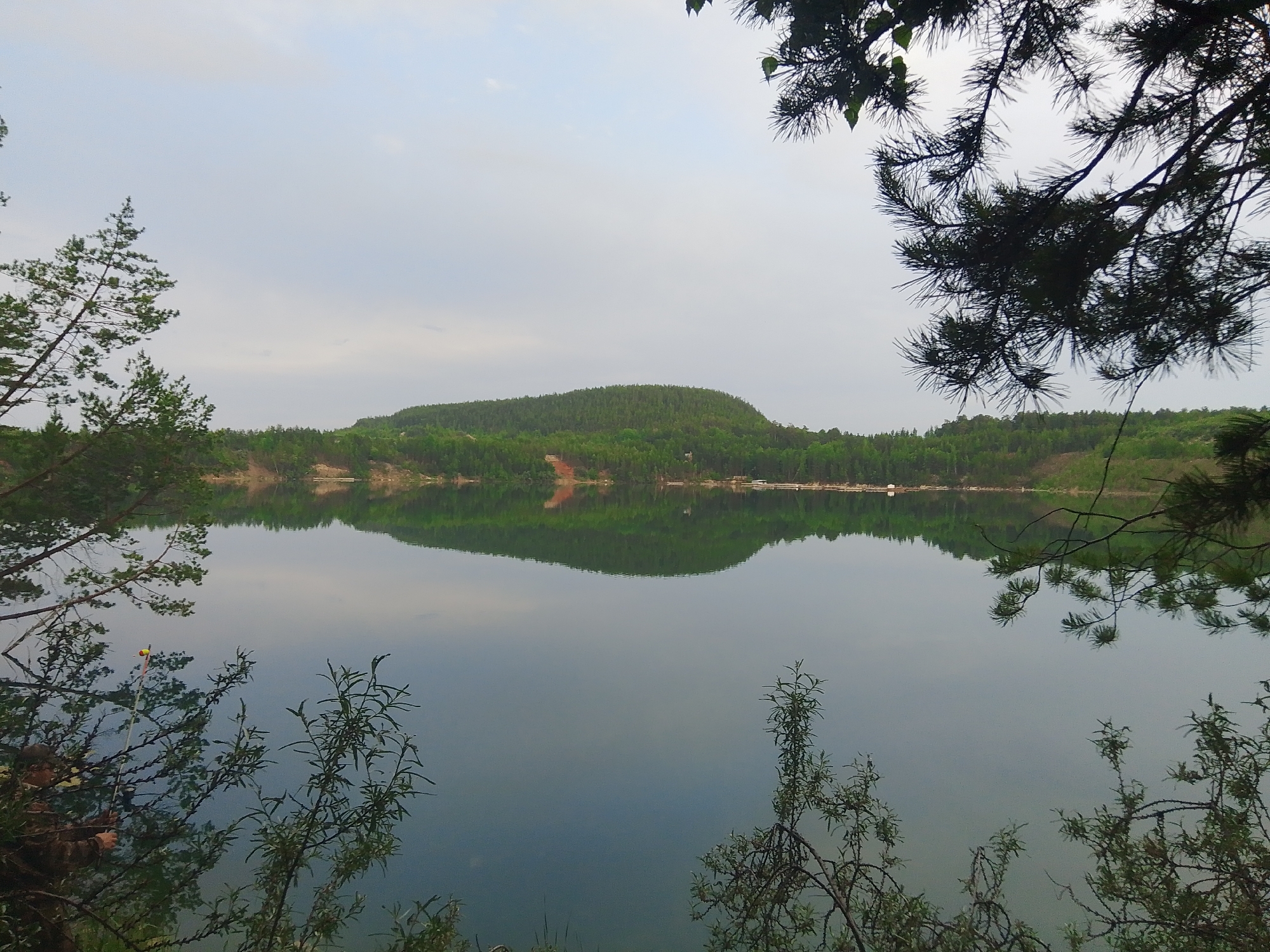 This is a landscape photograph of a calm lake reflecting a tree-covered hill under an overcast sky. The foreground is partially framed by branches of pine and other trees. On the left side of the lake, a fishing rod with a float is visible extending into the water. In the mid-ground, the lake extends towards a distinct, rounded hill densely covered with green coniferous trees. The reflection of the hill and trees is clearly visible on the water's surface. The sky is a pale gray, suggesting diffused light. The scene is set in Malysheva, Russia, likely a natural or recreational area featuring a body of water and forested terrain. There are no people or animals explicitly visible in the photograph.