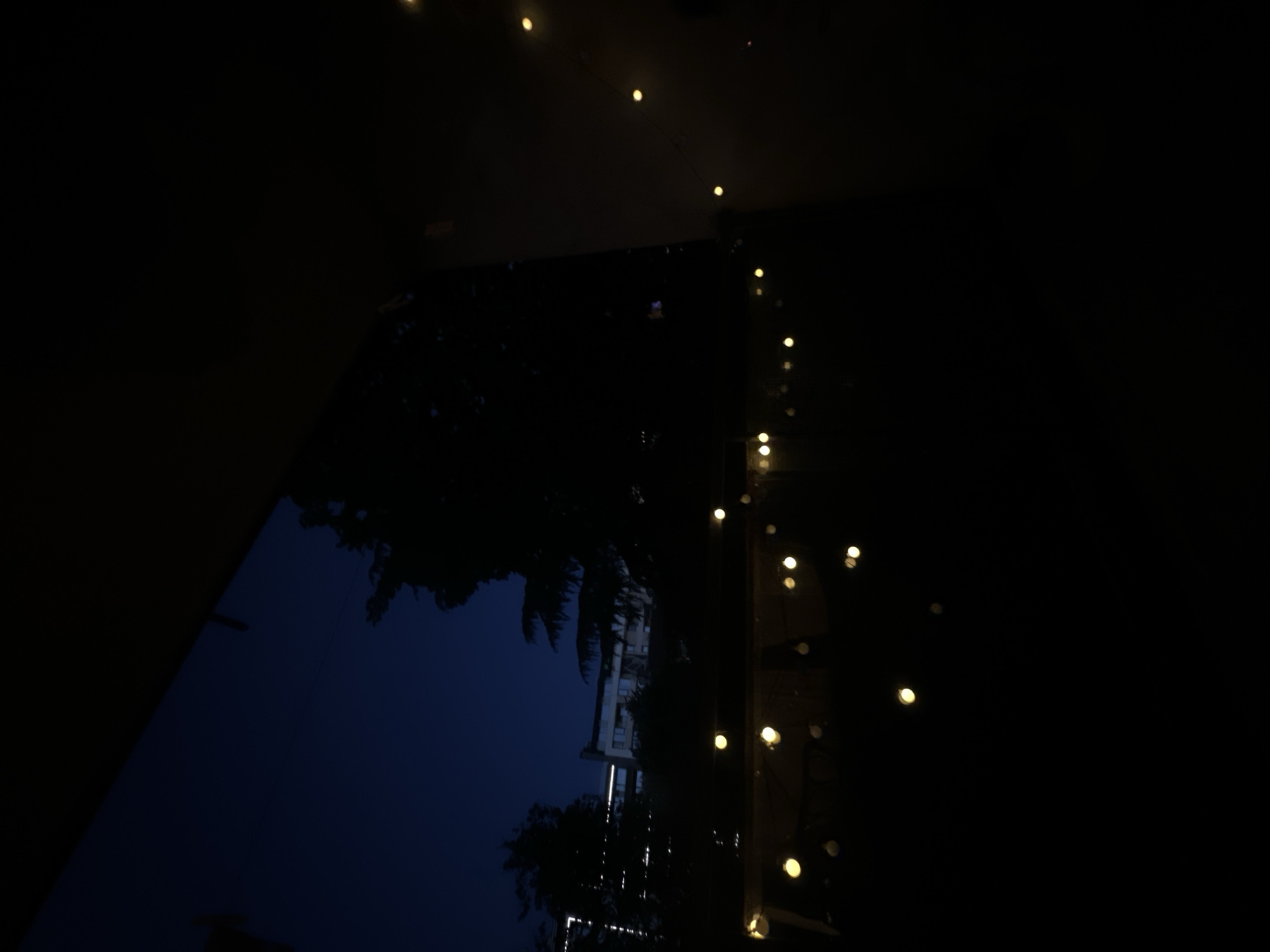 The image depicts a dark outdoor scene at dusk or night, likely from a balcony or similar elevated vantage point. The sky is a deep navy blue, with some faint lights visible in the distance, possibly from buildings. Silhouetted trees are present, obscuring parts of the background. Along the bottom of the frame, a string of warm, yellow fairy lights is strung across what appears to be a railing or fence, casting a soft glow. The overall atmosphere is quiet and peaceful. The location is the city of Sofia, Bulgaria.