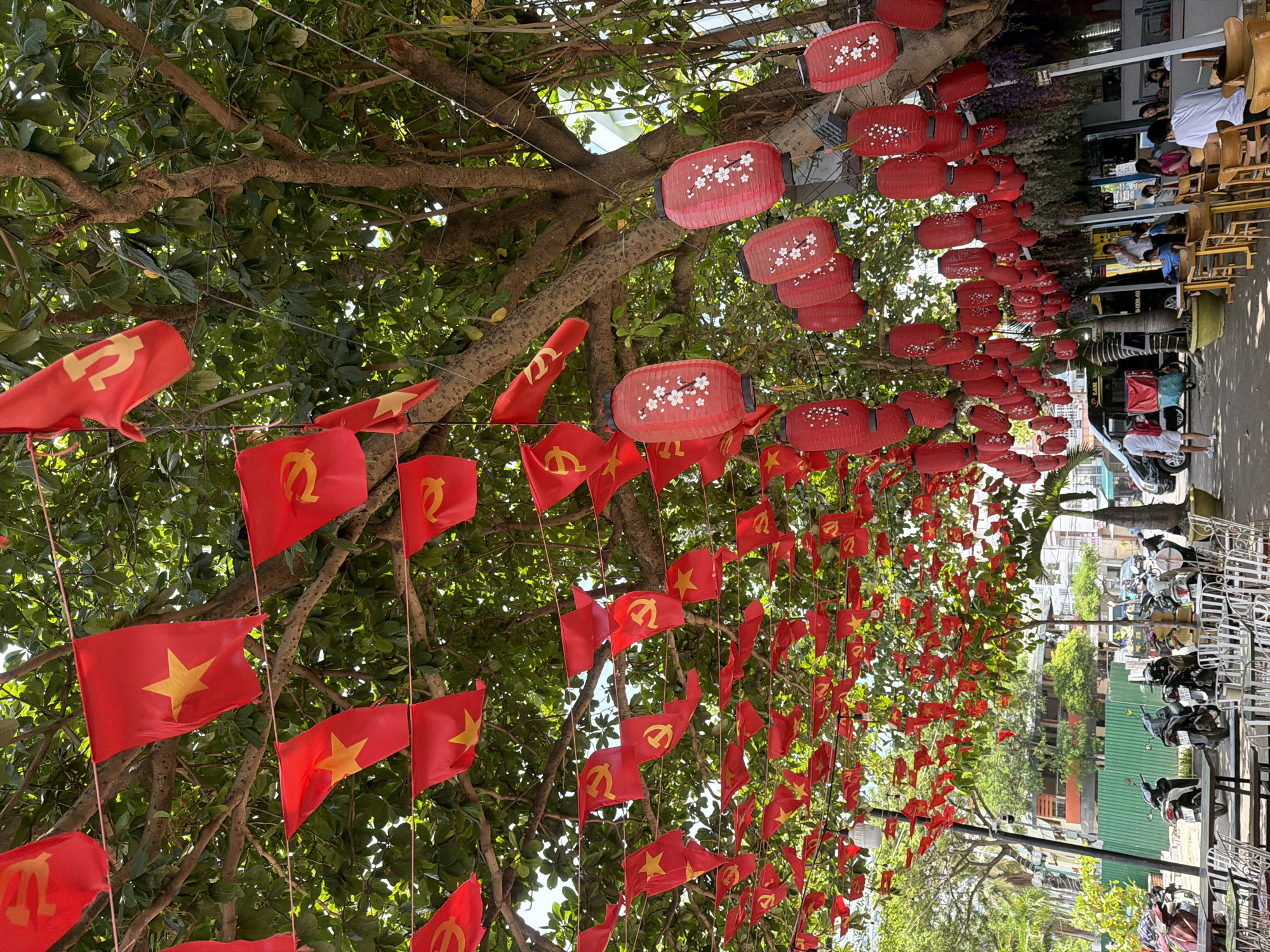 In Nha Trang Ward, Vietnam, a street scene unfolds beneath the dense canopy of a large tree, adorned with numerous red flags and lanterns. The flags, many featuring the yellow star of Vietnam or the hammer and sickle of communism, are strung along thin wires, creating a vibrant, festive overhead display. Interspersed with the flags are red paper lanterns, decorated with delicate white floral patterns, adding a touch of traditional Asian charm.
The area beneath the tree appears to be an outdoor seating area for a cafe or restaurant. Several tables and chairs, some made of metal and others of wood, are arranged on the ground, suggesting a relaxed, open-air dining experience. A few people are visible, seated at tables and observing the surroundings. One man, dressed in a white t-shirt and shorts, stands near a parked van, while others are seated further back in the shaded area.
To the left of the frame, several motorcycles are parked, indicating common local transportation. In the background, buildings of varying heights and colors are visible, some appearing to be residential or commercial establishments, with a green corrugated metal fence in the middle distance. The overall impression is a bustling, yet comfortably shaded, urban environment decorated for a special occasion or celebration. The sunlight filters through the leaves, creating dappled patterns on the ground and highlighting the colorful decorations.