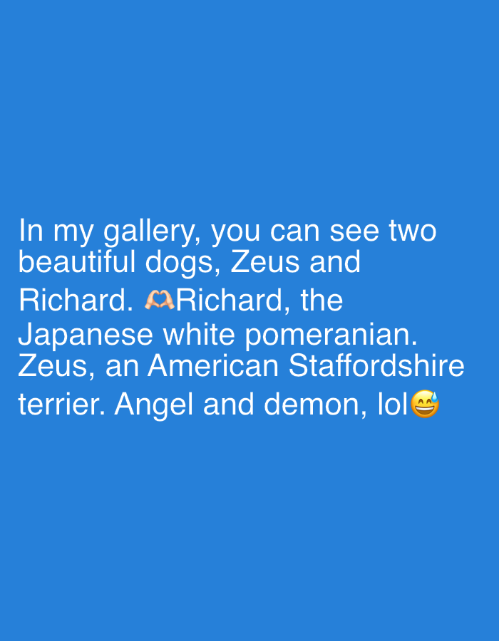 The image displays white text on a plain blue background. The text describes two dogs belonging to the author. It reads: "In my gallery, you can see two beautiful dogs, Zeus and Richard. 🫶Richard, the Japanese white pomeranian. Zeus, an American Staffordshire terrier. Angel and demon, lol 😅". A heart hands emoji (🫶) is placed before Richard's name in the second mention, and a sweating smiling face emoji (😅) follows "lol". The text provides names and breeds for both dogs, characterizing them with the phrase "Angel and demon," suggesting contrasting personalities.