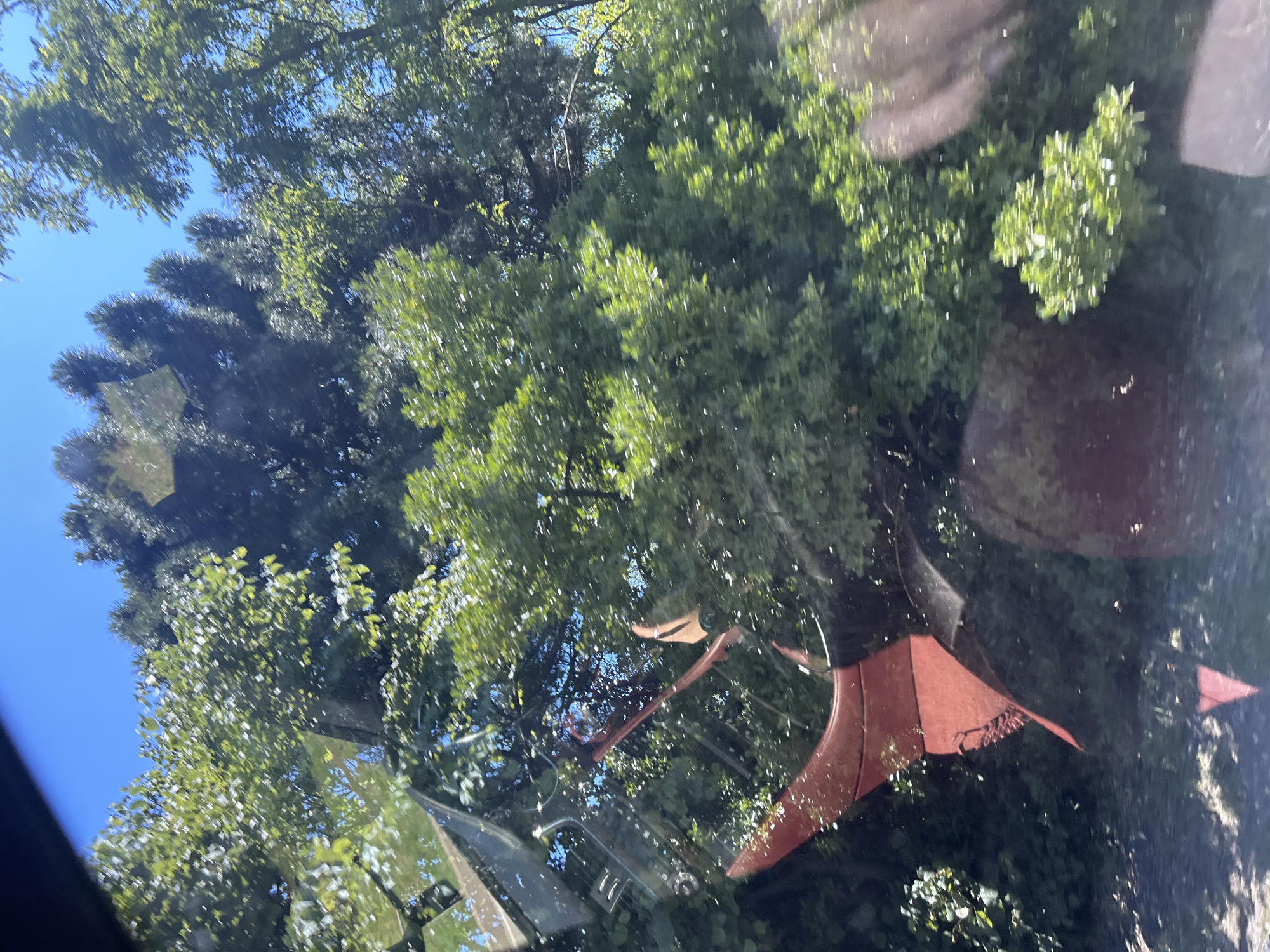 This image appears to be taken from inside a vehicle, looking out through the windshield. The primary subject is a large, red, abstract sculpture, possibly made of metal, with curved and pointed sections. The sculpture is partially obscured by lush green foliage. In the background, there are tall trees and a clear blue sky, suggesting an outdoor setting during daylight.
Given that the request specifies the city of Varna, Bulgaria, and considering the presence of trees and greenery, this sculpture might be located in a park or a public space within Varna. Without further information or visual cues, it's difficult to pinpoint the exact location. However, it is plausible that this sculpture is part of the landscape in one of Varna's parks, such as the Sea Garden (Morska Gradina). The reflections on the windshield indicate it is daytime and sunny. There are no people or animals visible in the image.