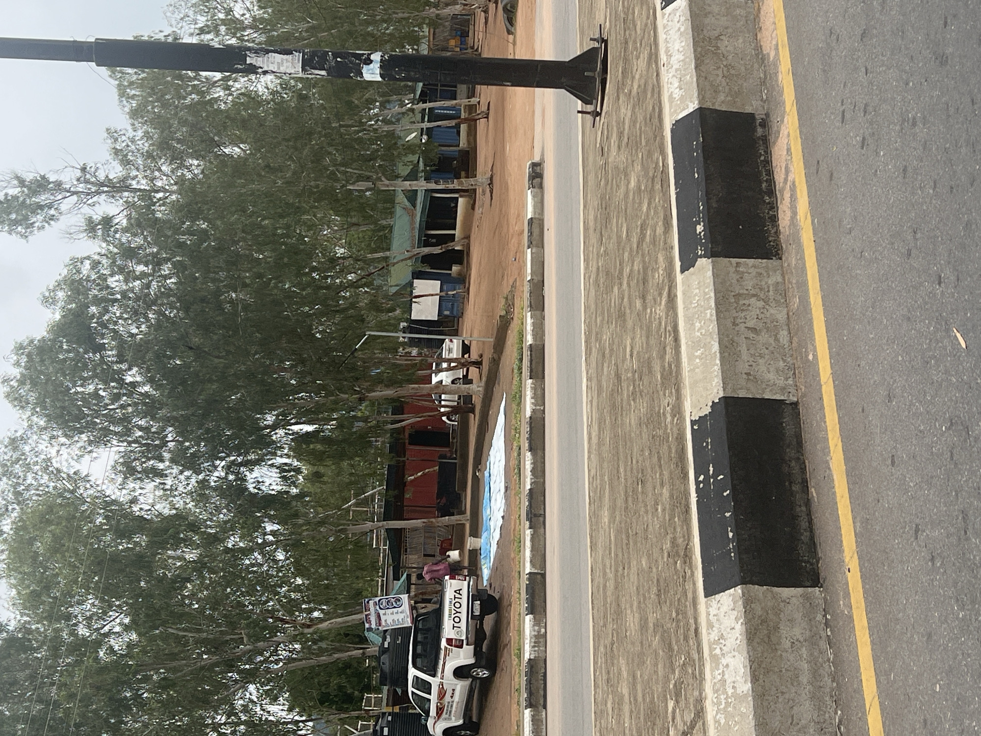 A white Toyota pickup truck is parked on a dirt roadside in Jalingo, Nigeria, next to a light blue tarp spread on the ground. A person wearing a pink shirt is standing near the tarp, holding a white bucket. Behind the truck and tarp, a row of buildings with red and green roofs are visible, with numerous tall, slender trees lining the area. A black utility pole stands prominently on the right side of the image. The foreground shows a paved road with a concrete curb painted with black and white stripes, and a yellow line marking the edge of the traffic lane.