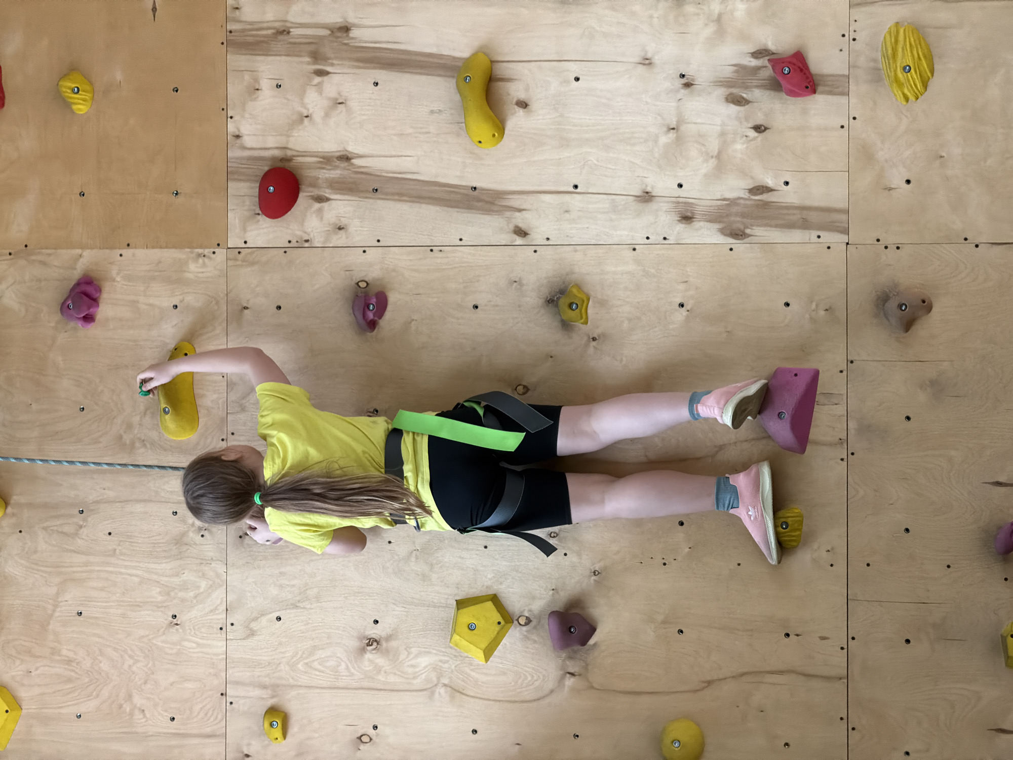 An overhead shot captures a young girl actively climbing an indoor climbing wall. She is positioned horizontally across the frame, wearing a bright yellow short-sleeved t-shirt, black cycling shorts, a green and black climbing harness, and pink Adidas sneakers with grey socks. Her long, light brown hair is tied in a ponytail with a light green tie.
The climbing wall is constructed from multiple light-colored wooden (plywood) panels, fastened together with screws. Various climbing holds, in different shapes, sizes, and colors such as yellow, red, purple, pink, and beige, are bolted onto the wooden surface. The girl is seen gripping a yellow hold with her right hand, while her feet are placed on a pink and a yellow hold respectively. A grey and white climbing rope runs horizontally along the left side of the wall, suggesting she is secured for safety. The setting appears to be an indoor climbing gym or a home climbing setup, illuminated by bright, even lighting. The girl's posture indicates focus and concentration on her climb. The only visible text is the "Adidas" logo on her right sneaker.