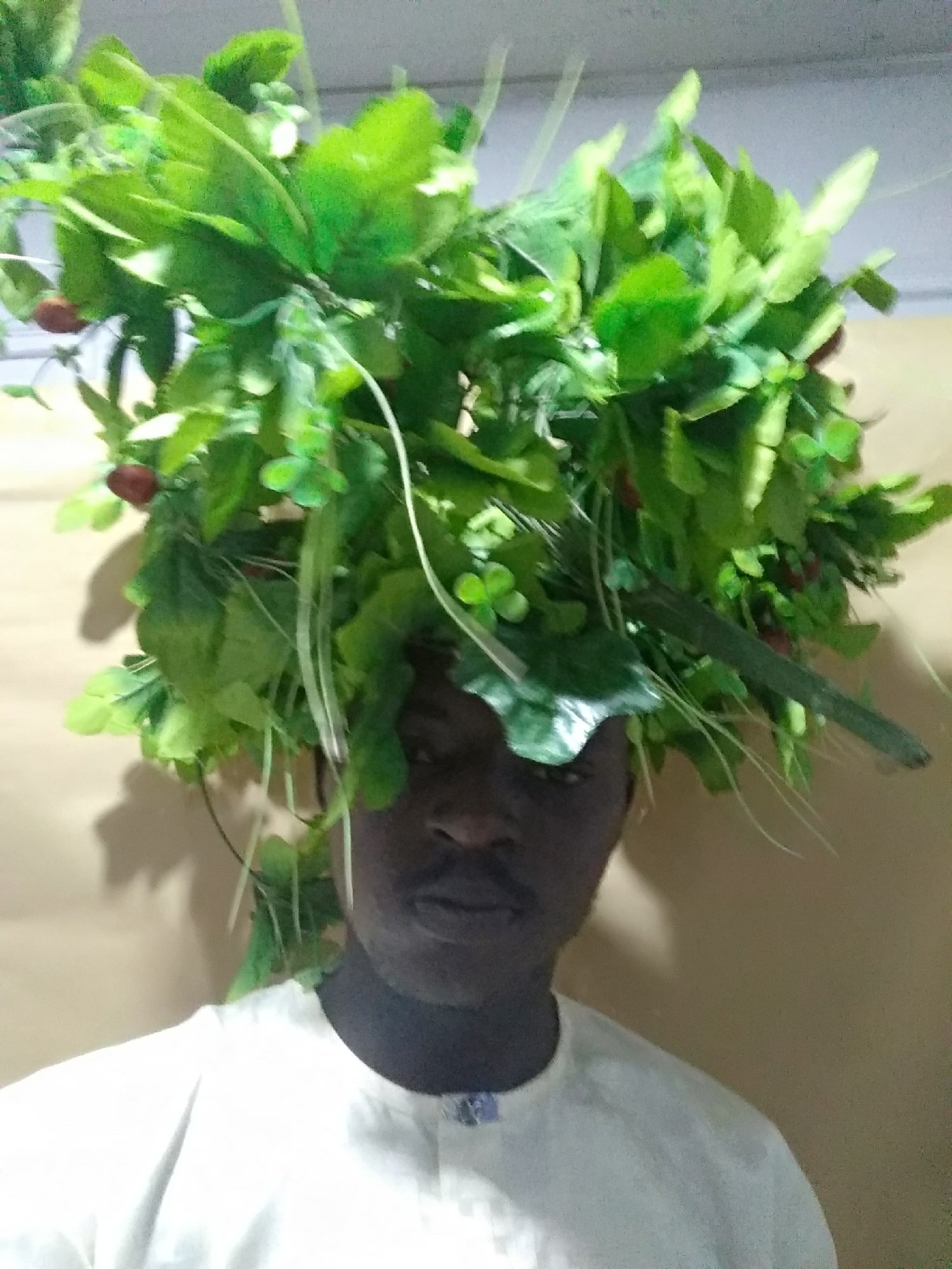 A man wearing a white shirt is photographed from the chest up, centered in the frame, against a plain beige wall. He has dark skin, short hair, and a mustache. His head is covered in a large arrangement of fake green leaves and foliage, with a few red berries interspersed. Some of the foliage extends outward and downward, partially obscuring his face. The location is not specified.