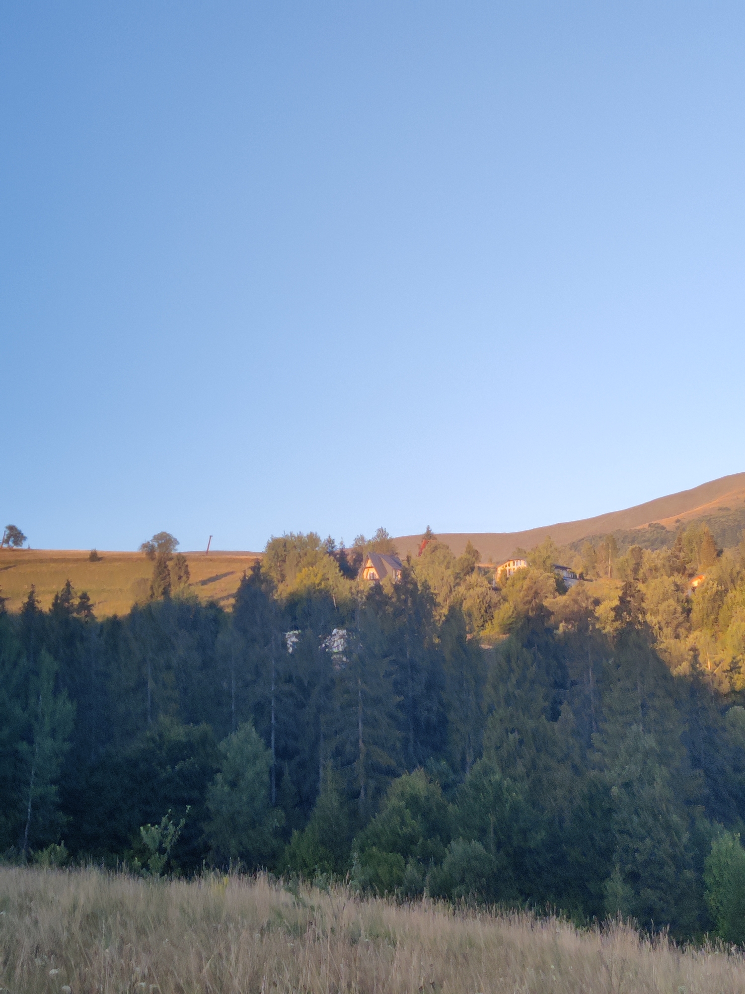 The image depicts a scenic view of rolling hills and a forest, with several buildings visible on the hillside. The sky is a clear, light blue, indicating fair weather. The foreground is dominated by dry, tall grass, suggesting a meadow or field. Behind the grass, a dense forest of evergreen trees stretches across the frame, with some deciduous trees mixed in. The trees are in various shades of green, with some catching the golden light of what appears to be late afternoon or early morning sun.
On the upper slope of the hill, nestled amongst the trees, are several buildings. The most prominent are two houses with distinct rooflines. One appears to be a traditional wooden house with a dark roof and light-colored walls, while another is a larger structure with a light-colored facade and dark roof. There are also hints of other structures, possibly smaller buildings or sheds, scattered among the trees. The hillside itself is covered in a mix of grass and scattered trees, with some patches of bare earth or rock visible. The overall impression is one of a rural landscape, possibly a village or a collection of mountain chalets. The image appears to be a landscape photograph taken from a slightly lower elevation, looking up at the hillside. The specific location is identified as Izky, Ukraine.