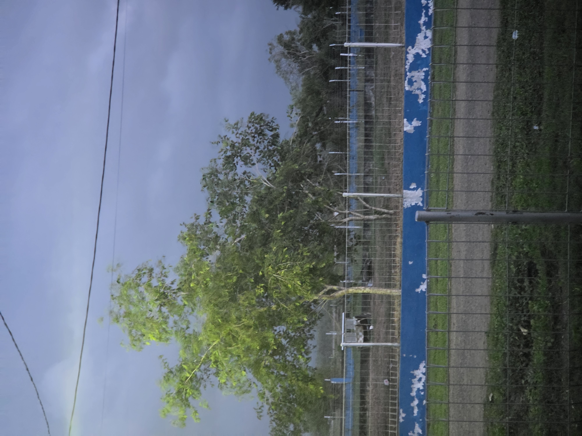 The image captures an outdoor landscape in Pintomakmur, Indonesia, under an overcast sky. The upper portion of the frame is dominated by a heavy, gray, cloudy sky, suggesting a dim day, potentially before rain. Thin black wires or cables stretch horizontally across the sky, implying utility lines.
In the middle ground, a wire mesh fence runs horizontally across the scene. A prominent blue-painted horizontal beam, part of the fence structure, shows significant peeling, revealing white patches beneath the blue paint. Behind the fence, several trees with green foliage are visible. One tree towards the left-center stands out with particularly bright, vibrant green leaves, creating a focal point against the muted sky.
The lower part of the image shows the ground beyond the fence. A dirt path or track runs horizontally, bordered by patches of green grass and other low vegetation. No people or specific activities are visible, presenting a static, tranquil view of the area. The overall mood is quiet and somewhat subdued due to the overcast weather. There is no visible text in the image.