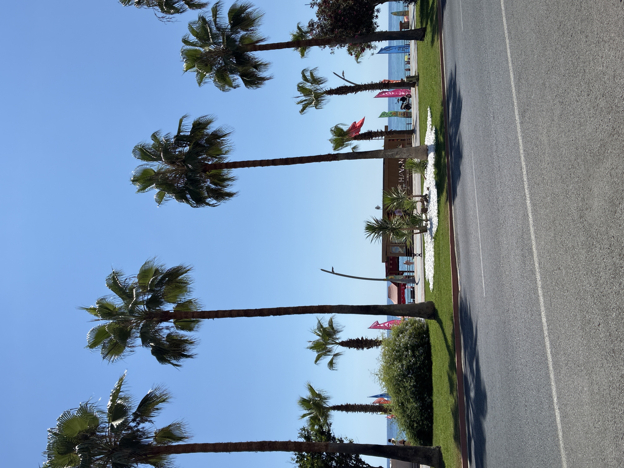The image shows a street scene in Alanya, Turkey, with a view of the sea and several palm trees lining a pathway. The pathway separates the road from the beach area. On the pathway, there are several colorful flags, a kiosk or small building with signage that reads "HAVAN," and people walking. The sea is visible in the background, with some boats or small vessels on the water. The sky is clear and blue, indicating a sunny day. The foreground consists of a grey asphalt road with a white line marking the lane. The overall scene depicts a vibrant coastal environment typical of a tourist destination.