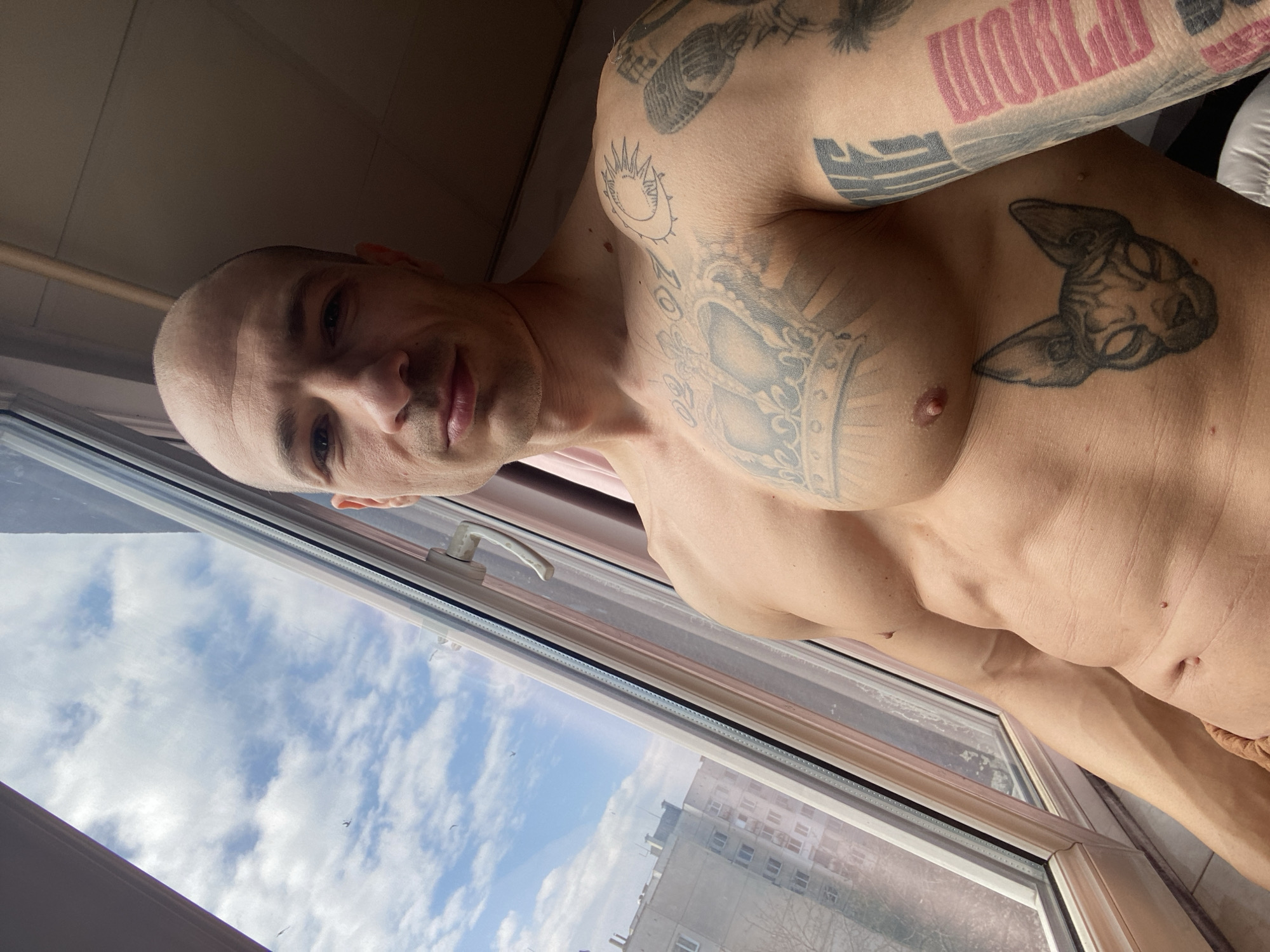 A shirtless bald man with numerous tattoos is standing indoors near a window, likely in a building in Pleven, Bulgaria, based on the architectural style of the building visible through the window. He is looking at the camera. The tattoos include a cat-like figure on his chest, and others on his arms. The view outside shows a partly cloudy sky and an apartment building. The window appears to be a modern PVC window.