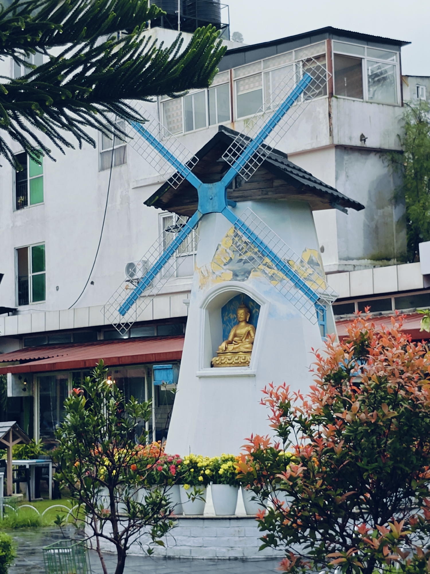 The image shows a decorative windmill structure in front of a multi-story building. The windmill is white with blue and yellow accents on its blades, which are made of a wire mesh. Inside a niche in the windmill, a golden statue of Buddha is visible. Surrounding the windmill are plants with green and reddish-orange leaves, and in the background, there are potted yellow and pink flowers. The building behind appears to be a commercial establishment, possibly a cafe or restaurant, with large windows and a red awning. The scene is outdoors, with a slight overcast sky suggesting it might be a cloudy or rainy day, as evidenced by some moisture on the pine needles in the foreground. The setting is likely a tourist area, given the decorative elements. This scene is located at the "Windmill Cafe" in the Lakeside area of Pokhara, Nepal.