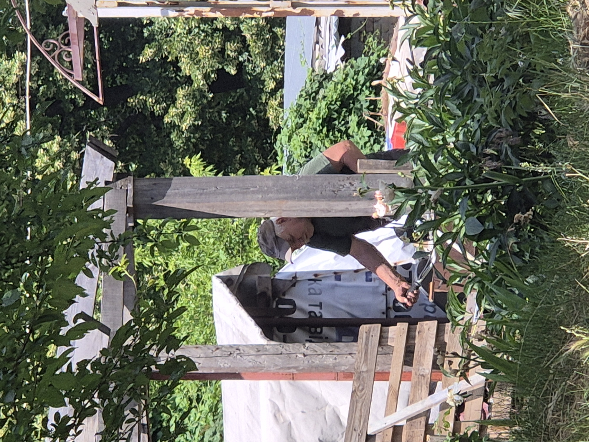 The image depicts an outdoor scene in Sozonivka, Ukraine, characterized by a man wearing a cap and a dark green shirt. He is partially obscured by a wooden pillar and appears to be engaged in an action involving his right hand, which is extended and holding an object. Behind him, a white tarp covers a structure, and in the background, dense green foliage and trees are visible under daylight conditions. The foreground features various plants and grass, indicating a garden or natural setting.