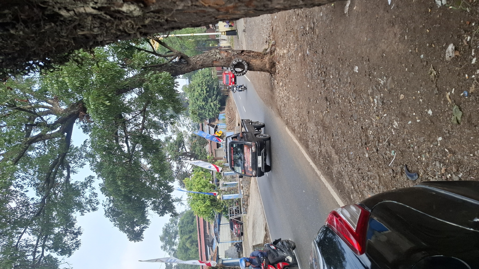 The image depicts a street scene in Cilaku, Indonesia, with a focus on a road flanked by trees and a roadside area. A black pickup truck with the text "TIGA SAHABAT" and other unreadable writing on its side is driving down the asphalt road. The truck has a license plate that reads "T 9602 CZ". A person is visible in the driver's seat. In front of the pickup truck, a motorcycle with a rider wearing a blue helmet is traveling in the same direction. To the left of the road, a red car is parked. Further left, a fence and a building complex are visible. Several flags are planted along the roadside, including white and blue flags with red accents. To the right of the road, a large tree stands prominently, with a circular object attached to its trunk that appears to be a tire with text that is partially obscured but includes "URAL BNN TUBLES". The ground beside the road is a mix of dirt, rocks, and scattered debris, including plastic waste and cigarette butts. In the foreground on the left, the taillight and rear section of a black car are visible. The sky is overcast.