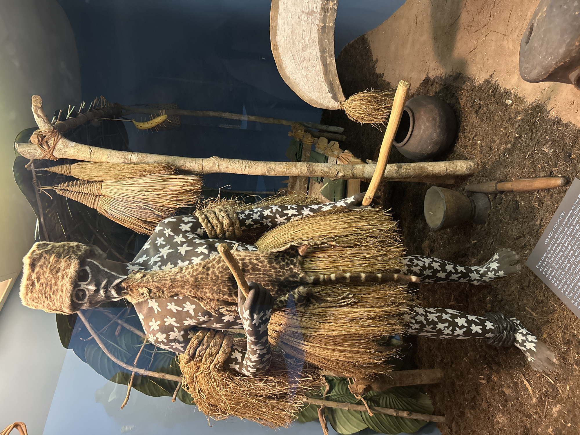 This image captures a museum exhibit titled "CONGO INITIATION," depicting a scene from the "nkumbi ceremony" for boys' initiation into adulthood. The central subject is a mannequin or effigy, adorned with a fur hat, dark skin painted with white star-like patterns, a grass skirt, and a spotted fur garment over its shoulder. Ropes are wrapped around its waist and arms, and its hands also display the white patterns.
The scene is set on a base of soil, mimicking an outdoor environment. Surrounding the figure are various traditional objects: multiple straw brooms, a large wooden object (possibly a ceremonial bowl or drum) in the background, a small clay pot, a metal cup, and wooden tools. A distinctive yellow, spiky, insect-like figure is perched on a wooden branch in the upper left of the display.
The visible text from the informational placard explains that the "nkumbi ceremony" occurs every three years to advance boys into adulthood. It mentions that "malign spirits devour the boys" if they transgress, the priest's role in circumcision, "rough beds," and ceremonial "dress" designed to "scare off any curiosity." The ceremony aims to unite groups and establish tribal identity. The lighting suggests an indoor museum display.