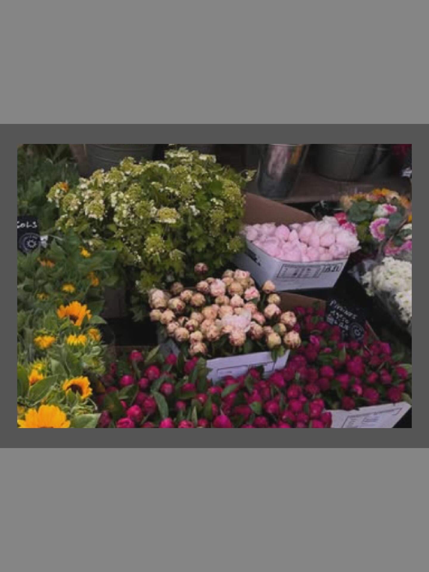 A market stall displays an assortment of fresh flowers, including sunflowers, pink roses, and dark pink tulips, arranged in boxes and buckets. The stall appears to be outdoors, with a grey background and a blurred suggestion of a building or structure behind the flowers. The lighting is soft and diffused, indicating an overcast day or shaded area. The overall scene suggests a vibrant and colorful floral display, typical of a flower market.