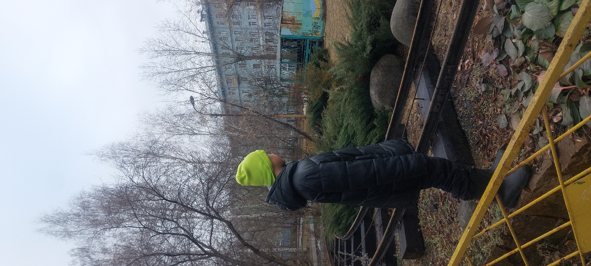 A long, sideways, outdoor shot depicts a child in a black puffy jacket and bright lime green beanie standing on a metal structure next to a yellow metal railing in Novosibirsk, Russia. The child is facing towards a cluster of bare trees with a multi-story gray building in the background. Patches of green foliage and shrubbery can also be seen. The ground is covered in leaves and debris.