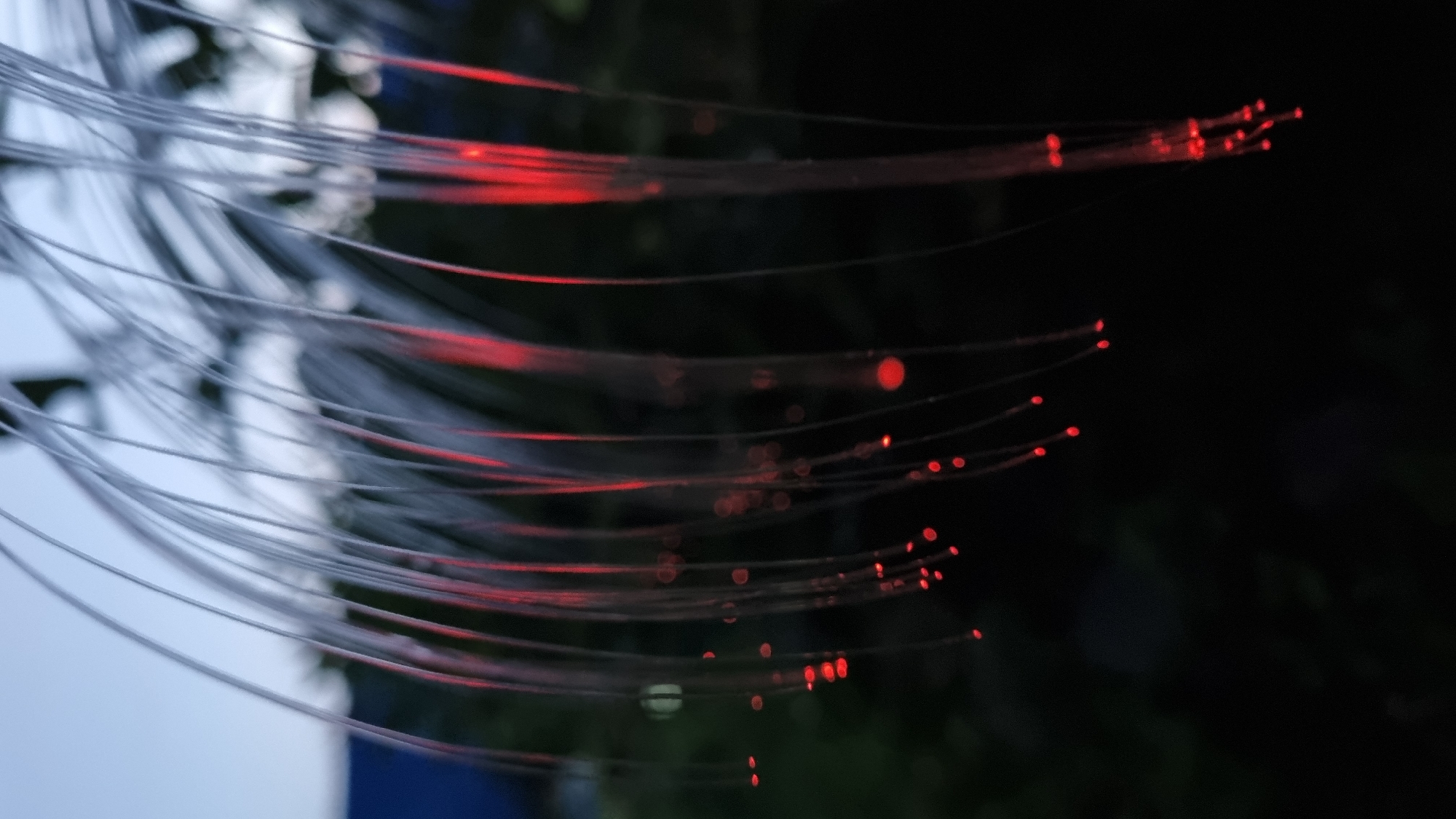 The image captures a close-up view of fiber optic strands illuminated with red light. The strands are thin, flexible, and curved, hanging downwards from an unseen source. Red light emanates from within the strands, creating glowing points and diffused light along their lengths. Some strands appear to have distinct red dots, suggesting individual light sources or points of higher illumination. The background is dark and out of focus, with hints of greenery and possibly a building structure in the upper left, suggesting an outdoor setting. The sky above is a pale, dusky blue. The overall impression is one of ethereal, glowing illumination against a dark backdrop. This scene is located in the city of Vysokoe, Russia.