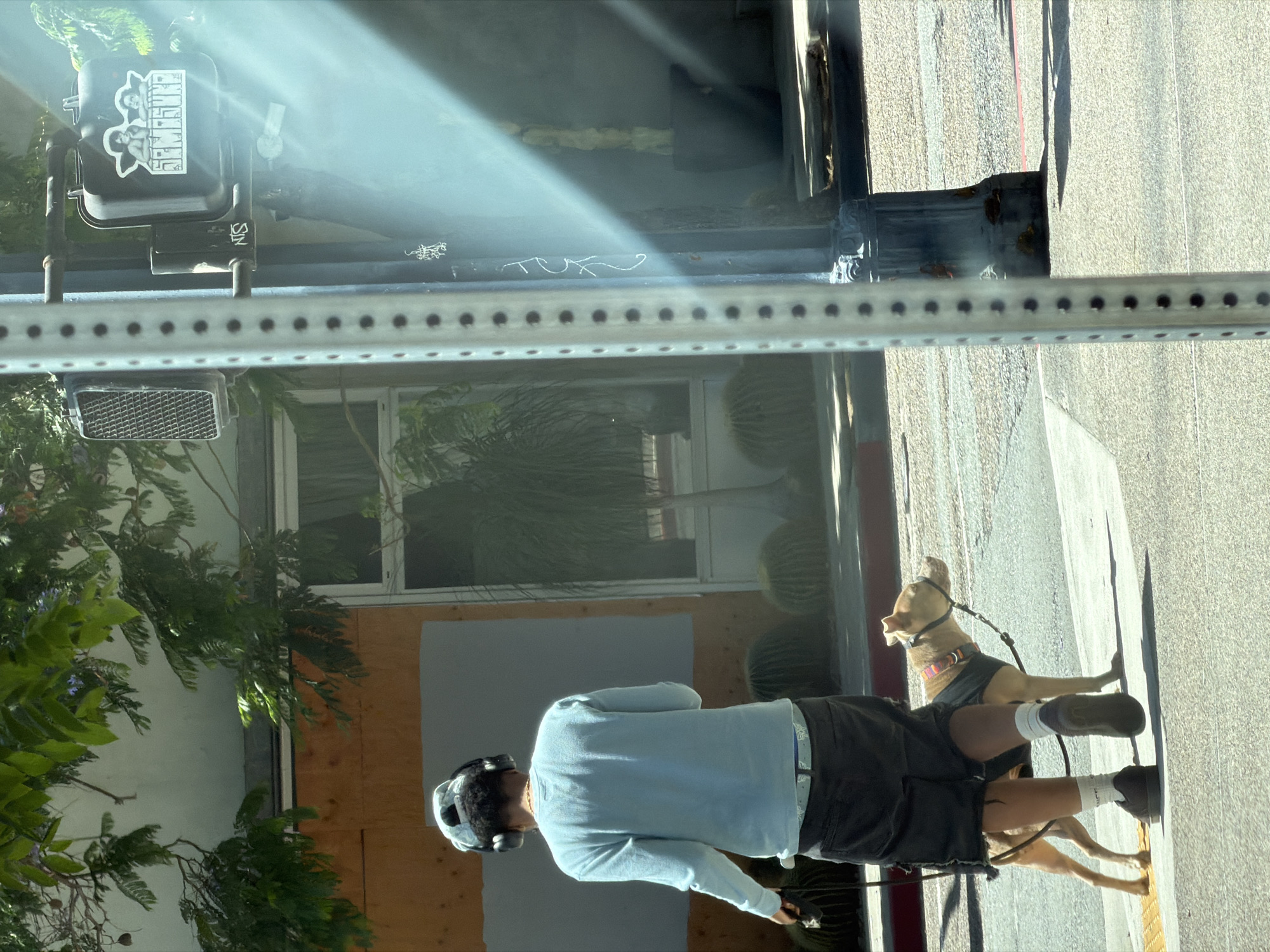 Here is a description of the image:
A medium shot shows a person walking a dog in a residential area of San Diego. The person, seen from behind, is wearing a light blue long-sleeved shirt, dark shorts, and black sneakers with white socks. The person has dark hair. The dog is a light brown short-haired breed, wearing a harness and leash. They are walking on a sidewalk next to a street. The background shows a building with boarded-up windows and cacti. The image is taken from behind a metal railing.
