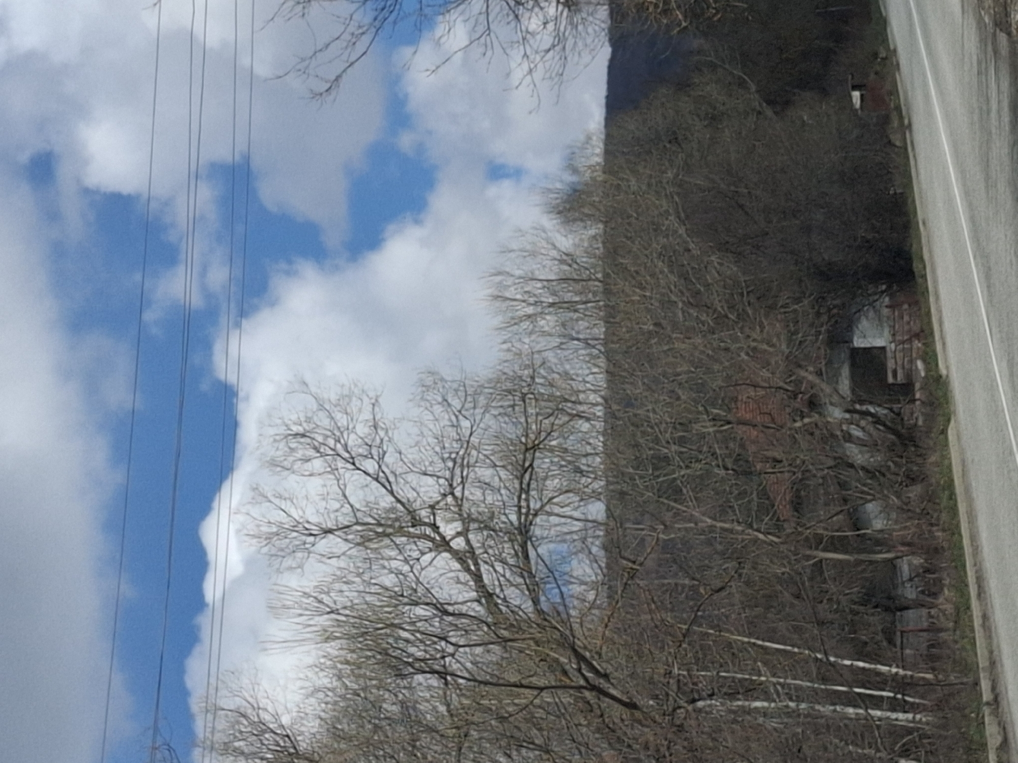 The image shows a partly cloudy sky with power lines on the left, next to a view of leafless trees bordering a road on the right. The location appears to be near Gintsi, Bulgaria. A building is partially visible among the trees.